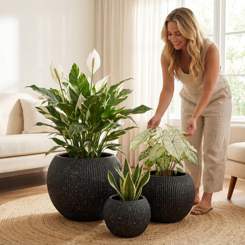 DTY Fiberstone Globe Planter Indoor Outdoor — Lightweight Sphere Ball Pot for Olive Tree, Monstera & Palm | Fiberglass Stone | UV Resistant, Drainage Hole | 2 Coco Mats | Black | 12.6" D × 10" H