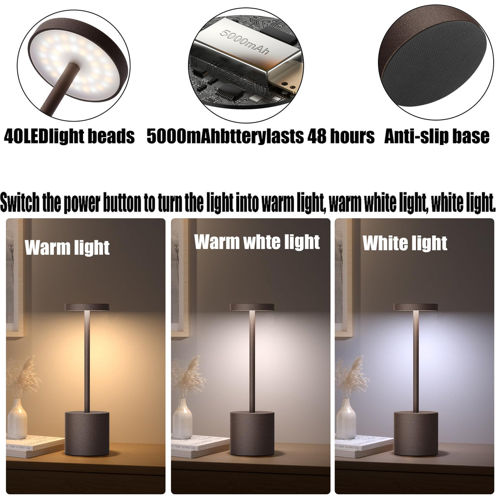 2Pack Cordless Table Lamp, Rechargeable LED Battery 5000mAh Metal USB Portable Powered Desk Lamp, 3 Levels Brightness Light for Restaurants Outdoor (2pack 10.25in Titanium)