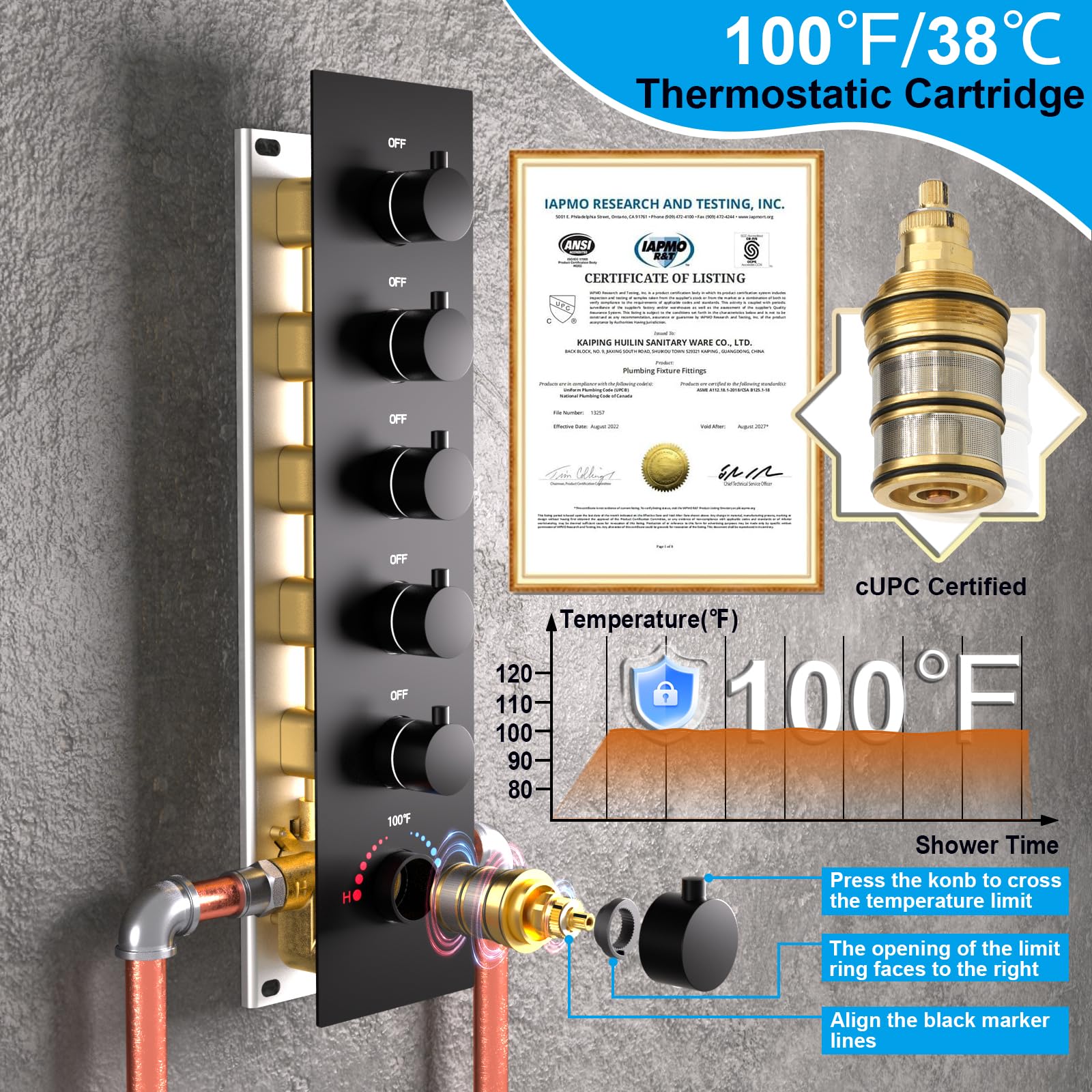 HOMEDEC 2 Way Shower Diverter Valve Brass Dual Functions Thermostatic Shower Mixing Valve Kit 3 Handle Flow Control Valve, 3/4 Inch Inlet, Can Use All Options At a Time, Matte Black