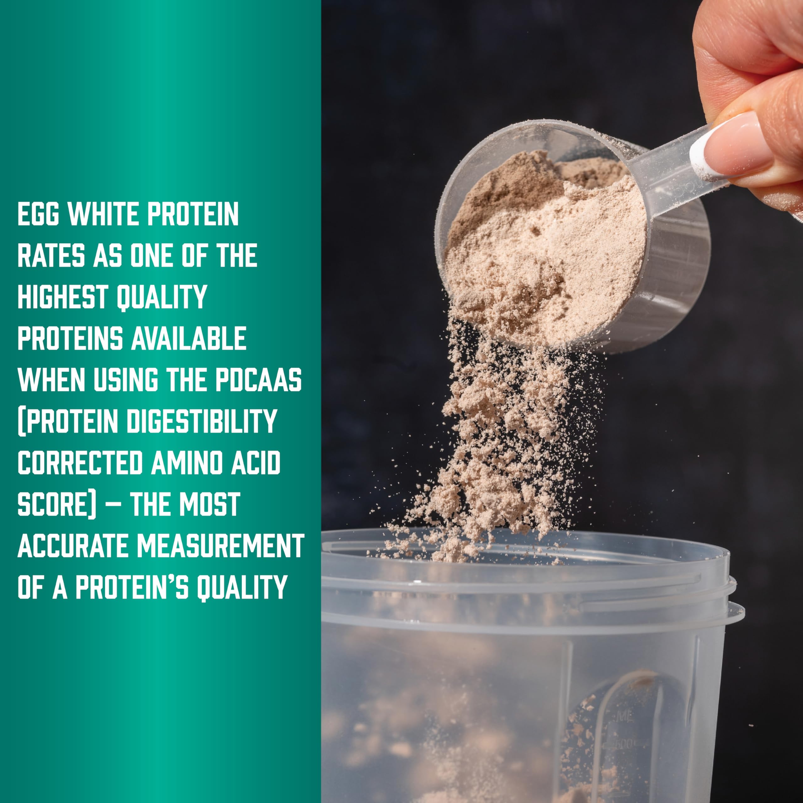 NOW Foods Sports Nutrition, Egg White Protein, 20 g With BCAAs, Creamy Chocolate Powder, 1.5-Pound