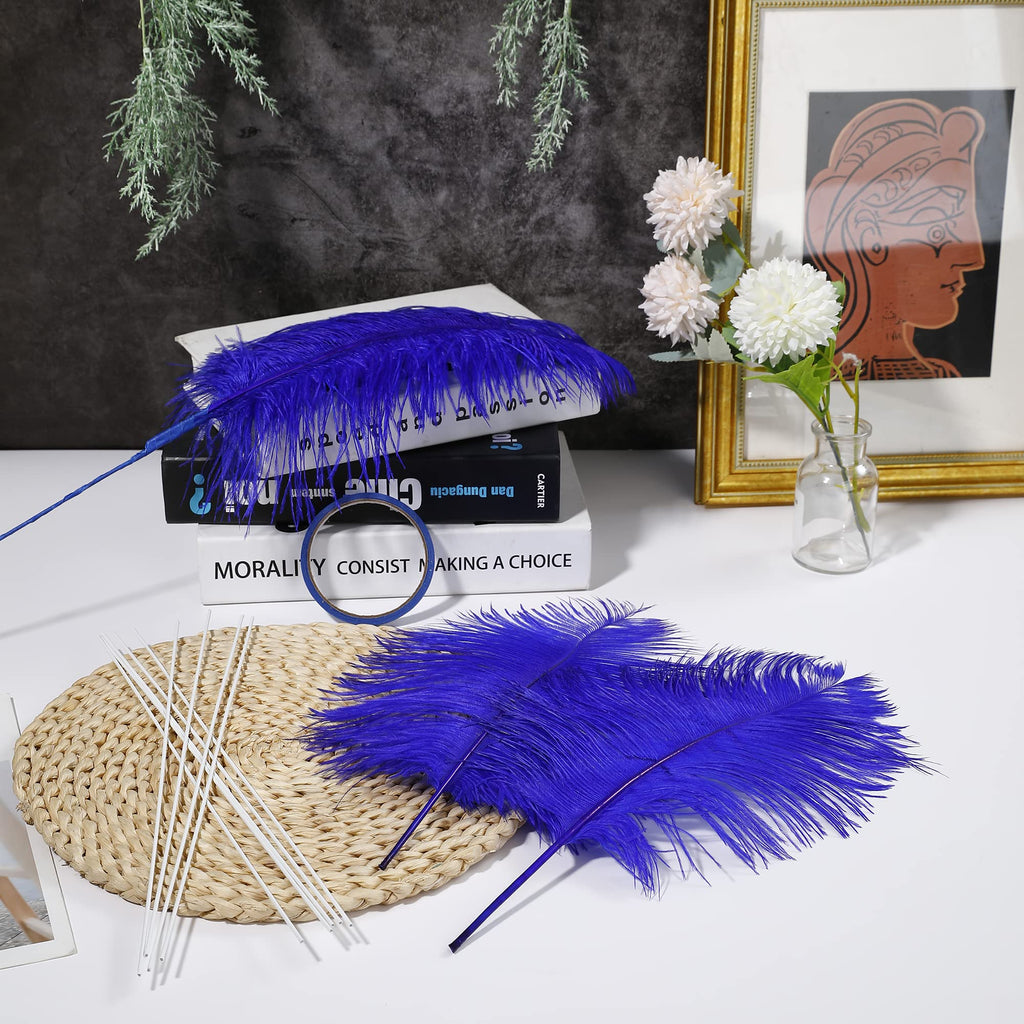 Ballinger Black Ostrich Feathers Bulk - Making Kit 12Pcs 16-18inch Large Ostrich Feathers for Floral Arrangement, Vase, Wedding Party Centerpieces and Halloween Home Decor