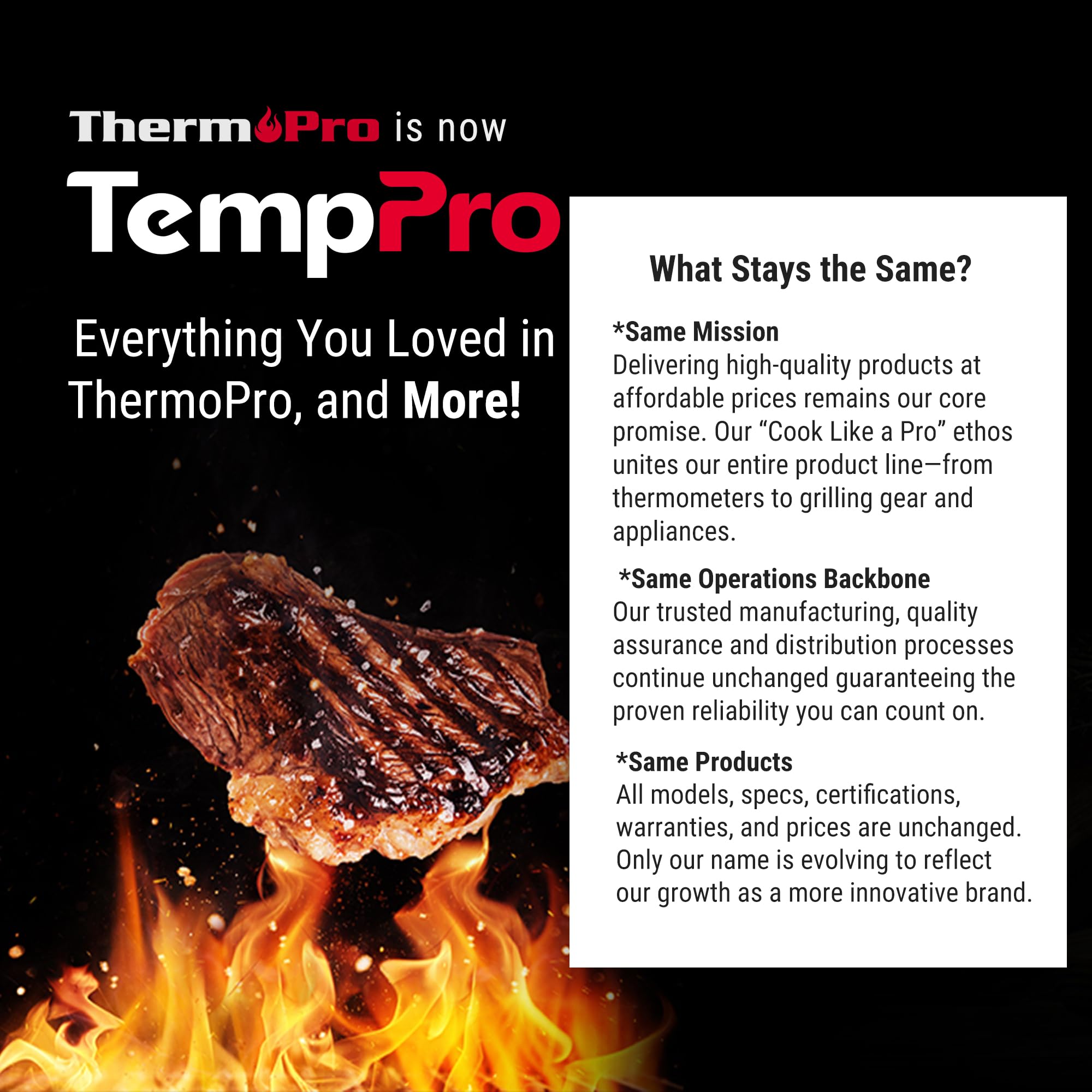 TempPro TP19H Digital Meat Thermometer for Cooking, 1 Sec Instant Read Food Thermometer with Motion-Sensing Wake for BBQ Grill Oil Fry Candy for Fathers Day Gift for Dad Men (Previously ThermoPro)