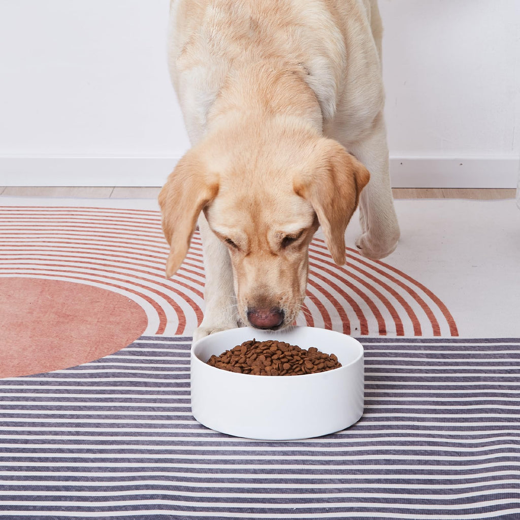 6'' Ceramic Raised Dog Bowl - 30Oz Dog Food & Water Bowl with Elevated Non-Slip Bamboo Stand, Dishwasher & Microwave Safe, Anti Vomiting Heavy Duty Pet Bowl for Small and Medium Dogs, Black