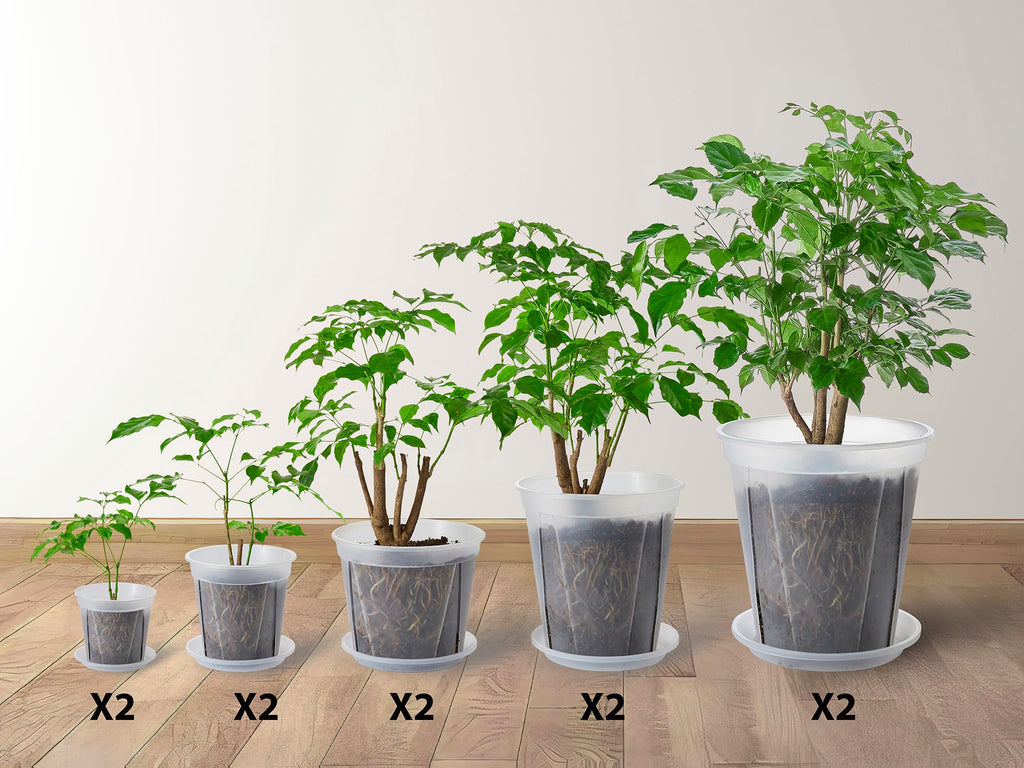 24 pcs 6/5 inch Clear Nursery pots for Plants Saucers,5/6 inch Clear Heavy pots with Side Vents for Reporting Orchids,Aroid,Monstera, Indoor & Outdoor use
