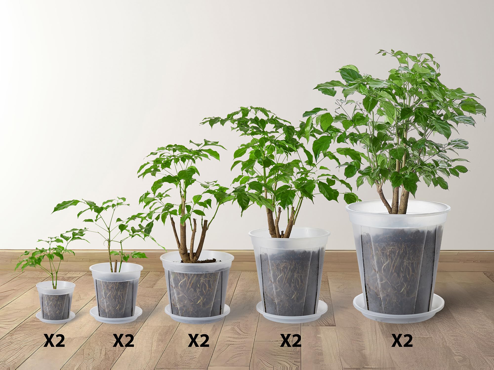 24 pcs 6/5 inch Clear Nursery pots for Plants Saucers,5/6 inch Clear Heavy pots with Side Vents for Reporting Orchids,Aroid,Monstera, Indoor & Outdoor use