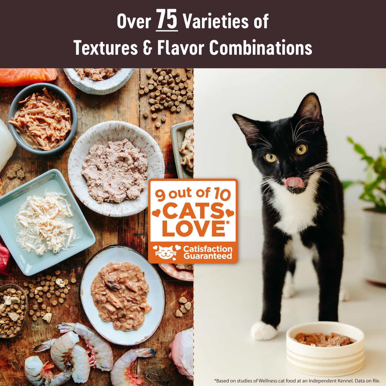 Wellness CORE Tiny Tasters Pate Adult Wet Cat Food, Natural, Protein Rich, Grain Free, Chicken Recipe, 1.75 oz, Pack of 12 Pouches