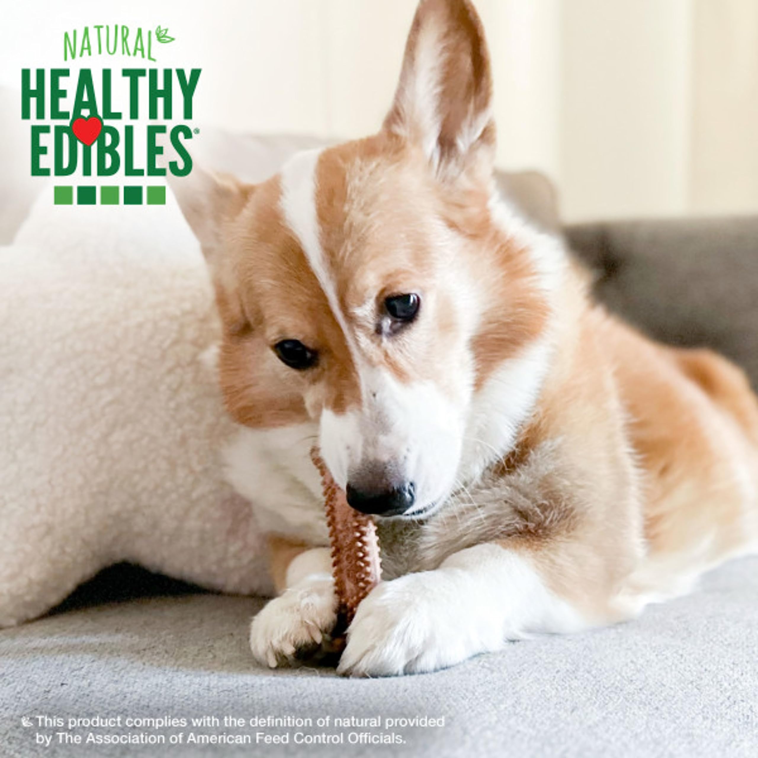 Nylabone Healthy Edibles Natural Dog Chews Long Lasting Chew Treats for Dogs, Roast Beef Flavor, X-Small/Petite (4 Count)