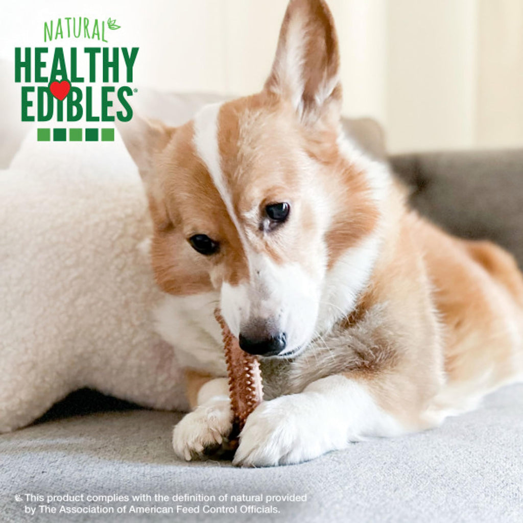 Nylabone Healthy Edibles Natural Dog Chews Long Lasting Chew Treats for Dogs, Roast Beef Flavor, X-Small/Petite (4 Count)