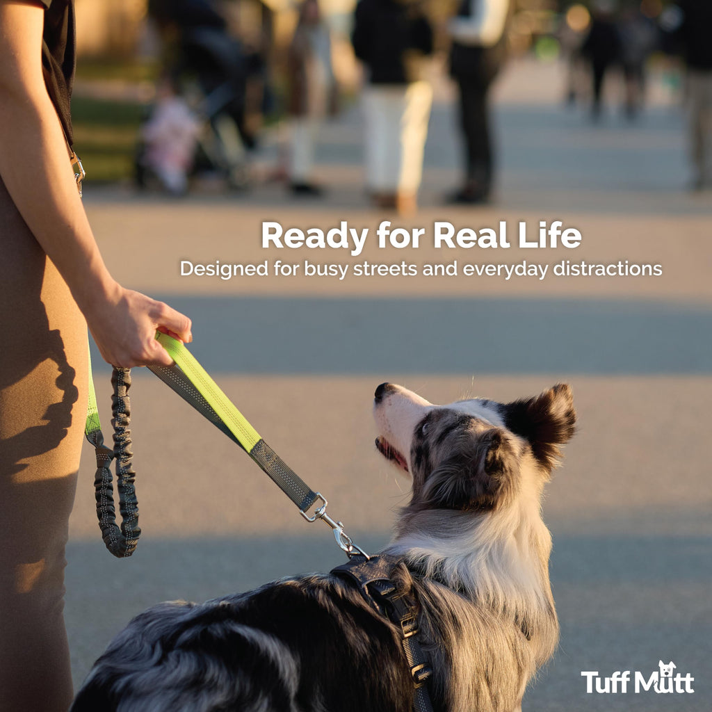 Tuff Mutt Hands-Free Waist Leash for Dog Walking, Running and Hiking, Carabiner Clip, Adjustable Belt with Double Handle, Reflective Bungee Design for Large & Medium Dogs