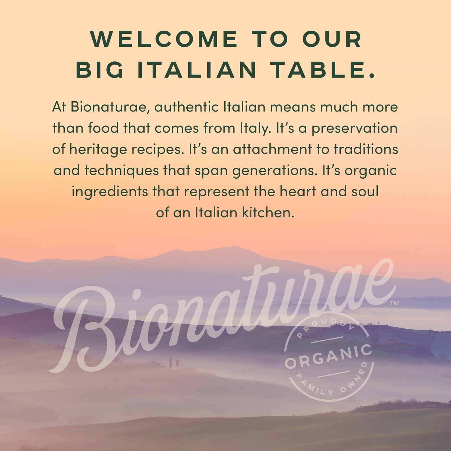 Bionaturae Organic Strained Tomatoes, 24 Ounce