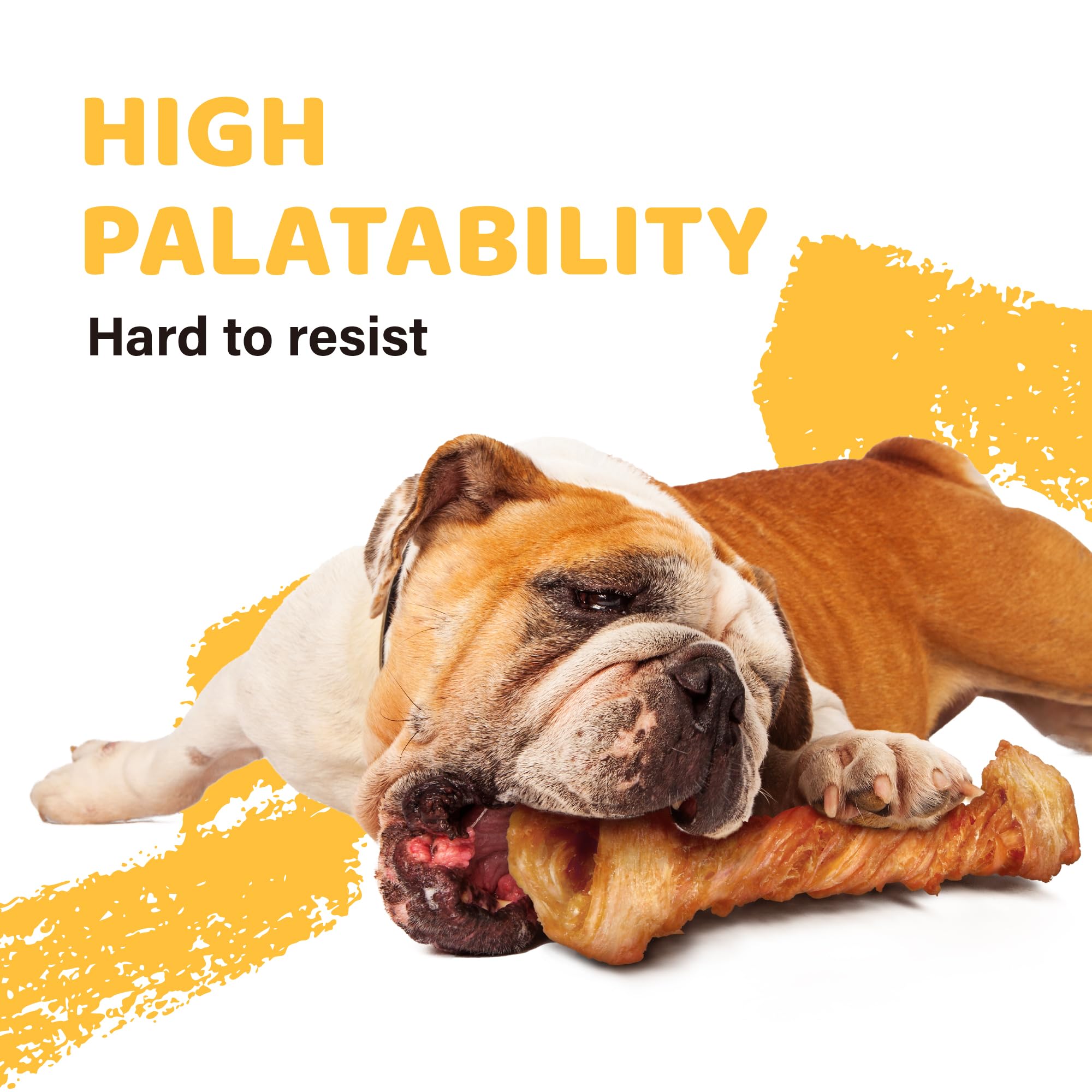 iPaw Turkey Tendons for Dogs 10 Pcs Bulk Pack, 100% Turkey and US Sourced Raw Material, Hypoallergenic, All Natural Human Grade Puppy Chew, Rawhide Alternative Dog Treats, Bone (Large)