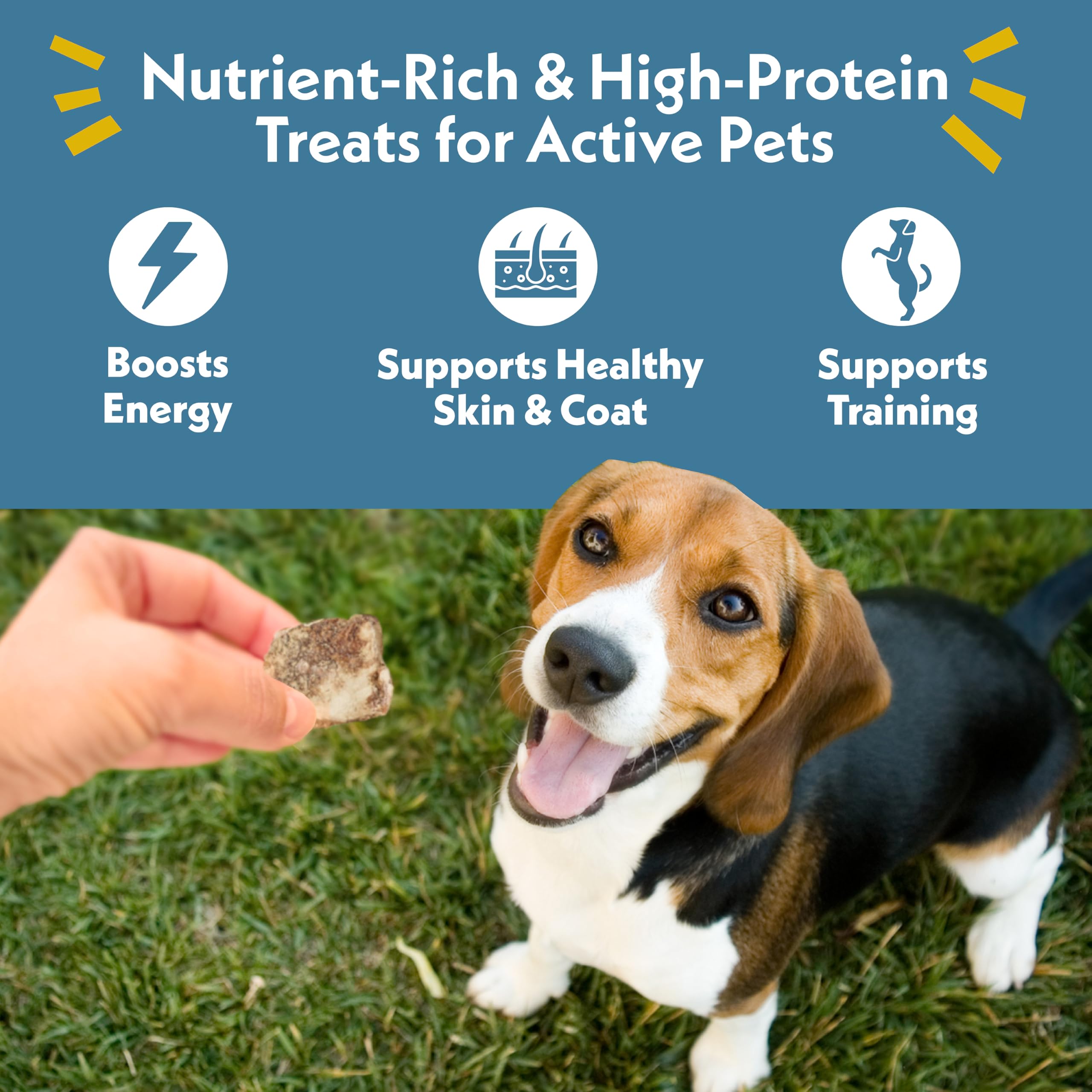 Fresh Is Best Freeze Dried Dog Treats - Raw Freeze Dried Chicken Breast for Dogs & Cats - Healthy Dog Training Treats in Resealable Zipper Bag - High-Protein Single Ingredient - Made in the USA