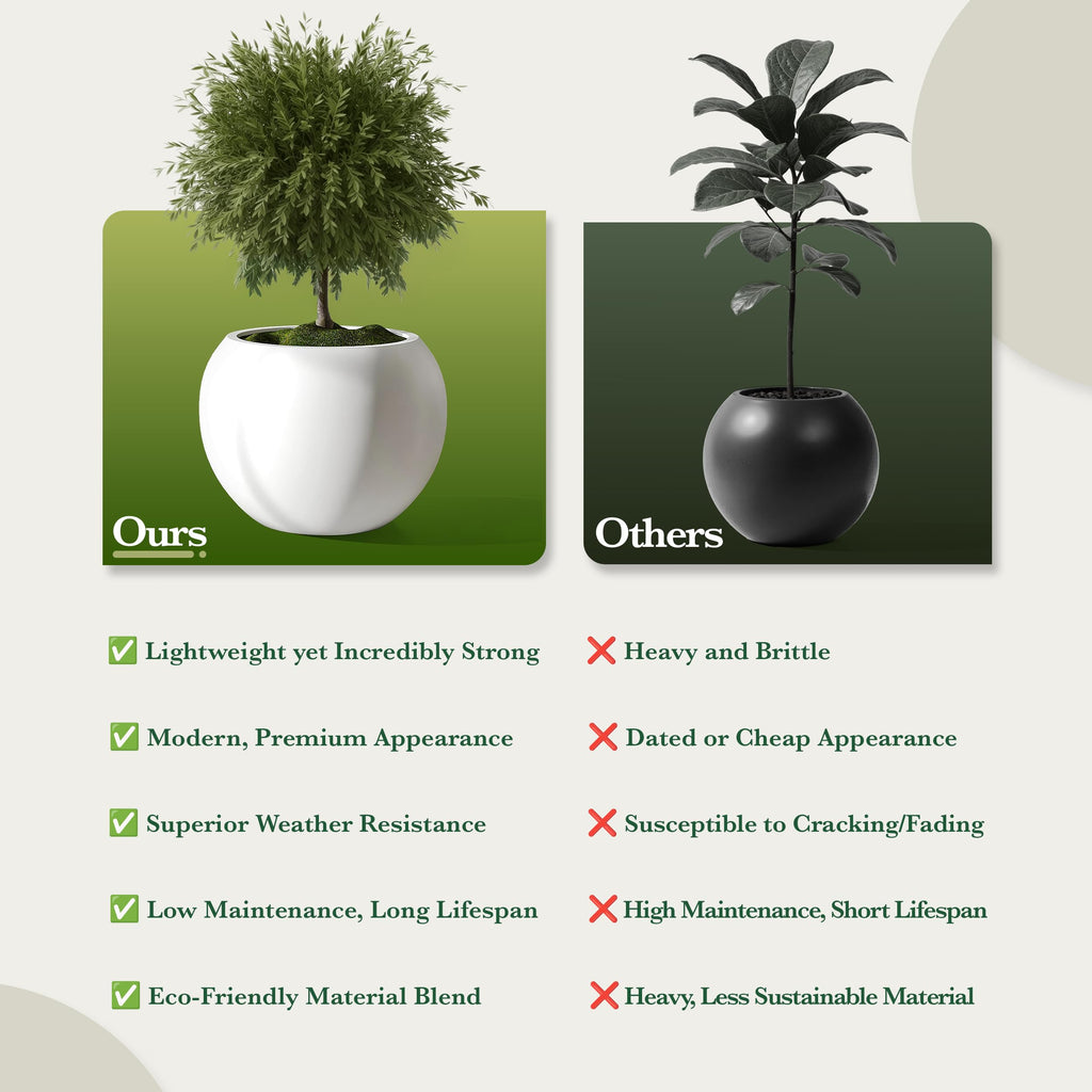 DTY Fiberstone Globe Planter Indoor Outdoor — Lightweight Sphere Ball Pot for Olive Tree, Monstera & Palm | Fiberglass Stone | UV Resistant, Drainage Hole | 2 Coco Mats | Black | 12.6" D × 10" H