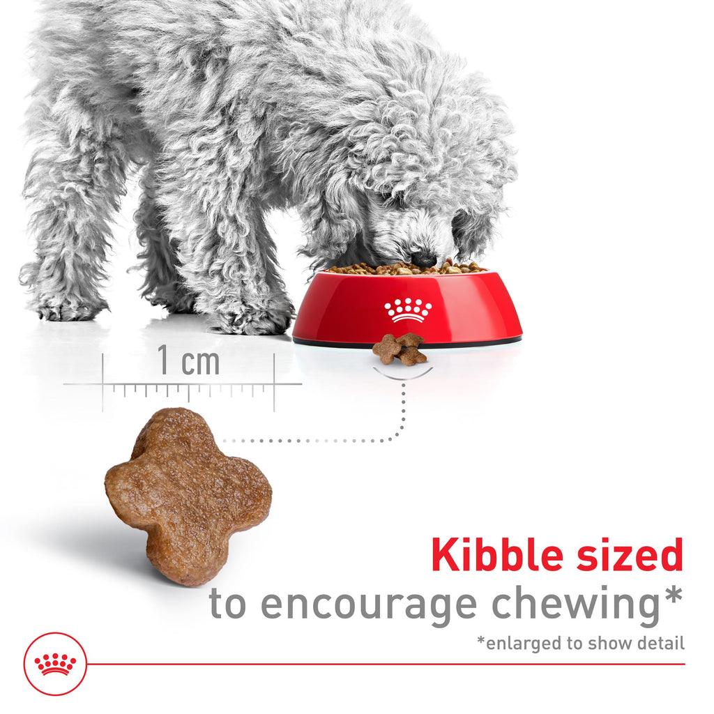 Royal Canin Size Health Nutrition Small 8+ Senior Dry Dog Food, 2.5 lb Bag