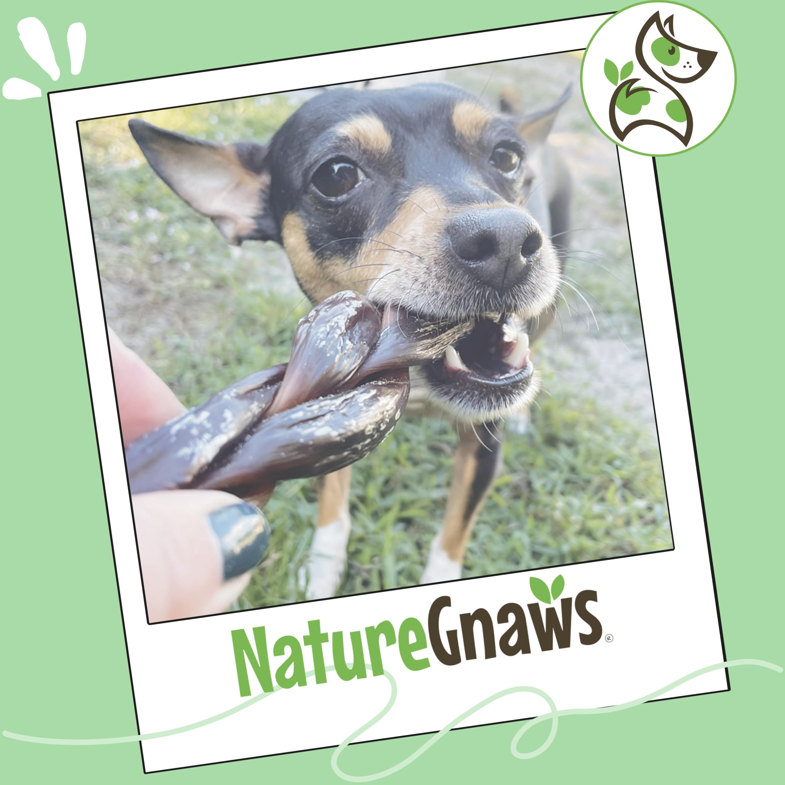 Nature Gnaws Beef Gullet Chews for Small Dogs 4-5" (20 Count) - Natural Beef Jerky Stick Dog Chew Treats - Rawhide Free