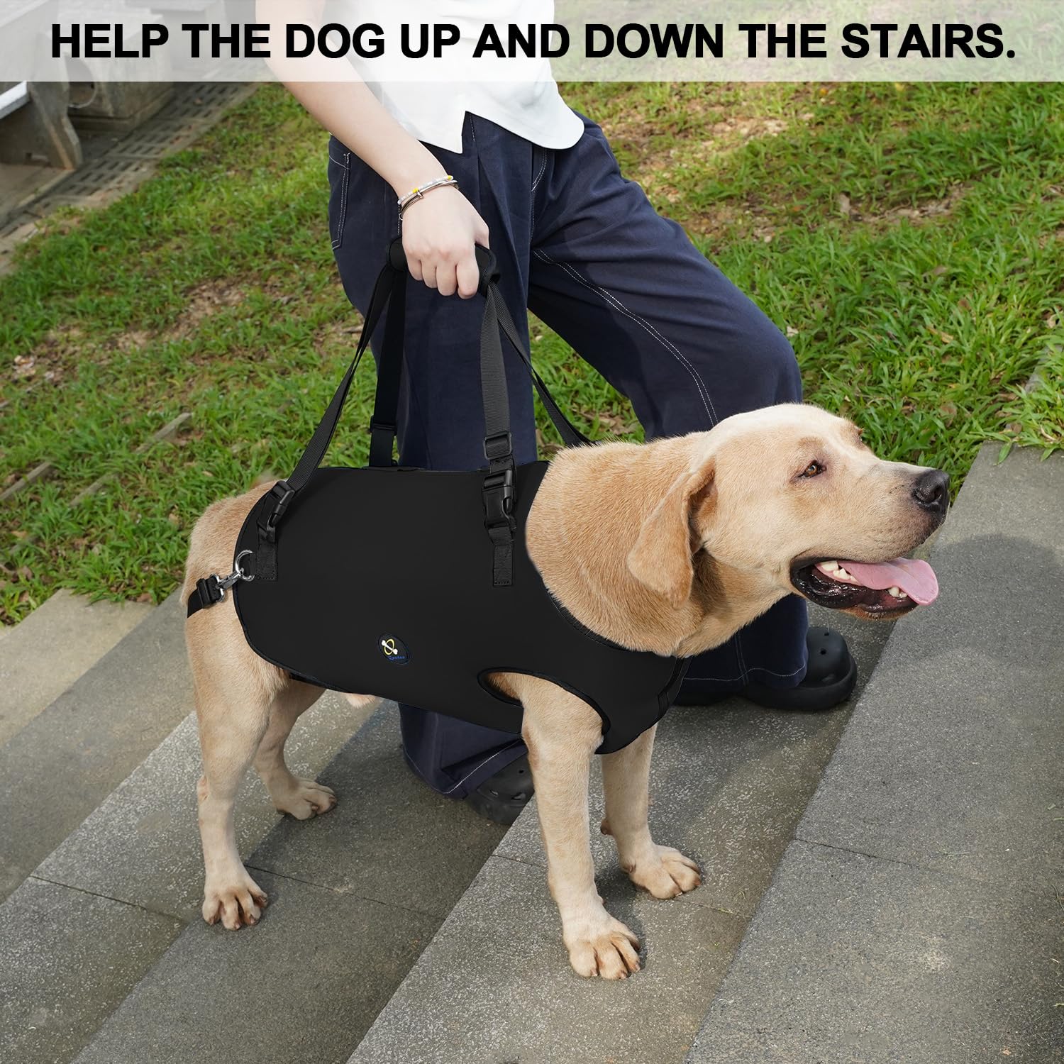 Coodeo Dog Lift Harness, Pet Support & Rehabilitation Sling Lift Adjustable Padded Breathable Straps for Old, Disabled, Joint Injuries, Arthritis, Loss of Stability Dogs Walk (Black, XS)