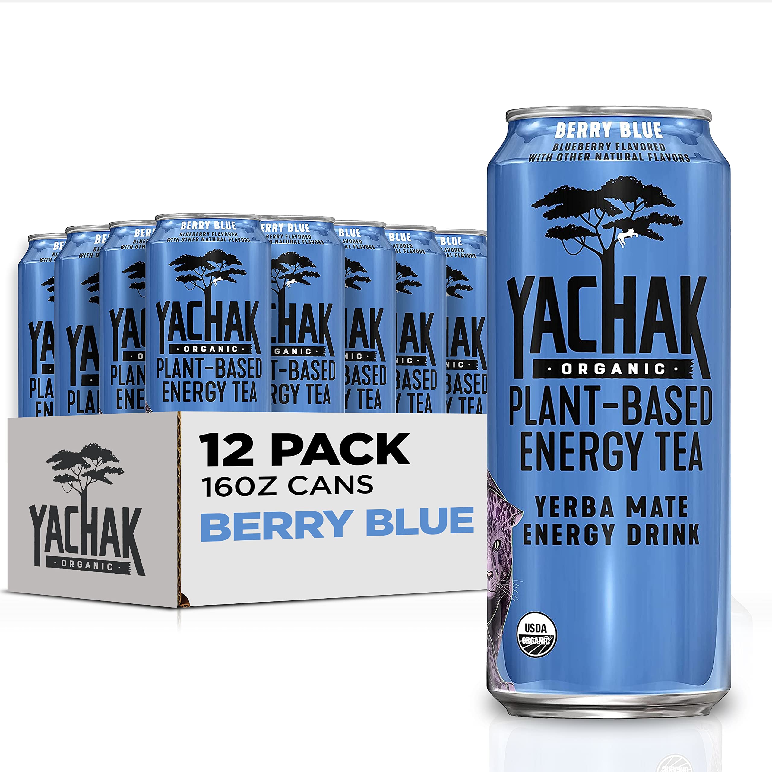 Yachak Yerba Mate Drink, Blackberry, 16 Fl Oz Cans, Pack of 12