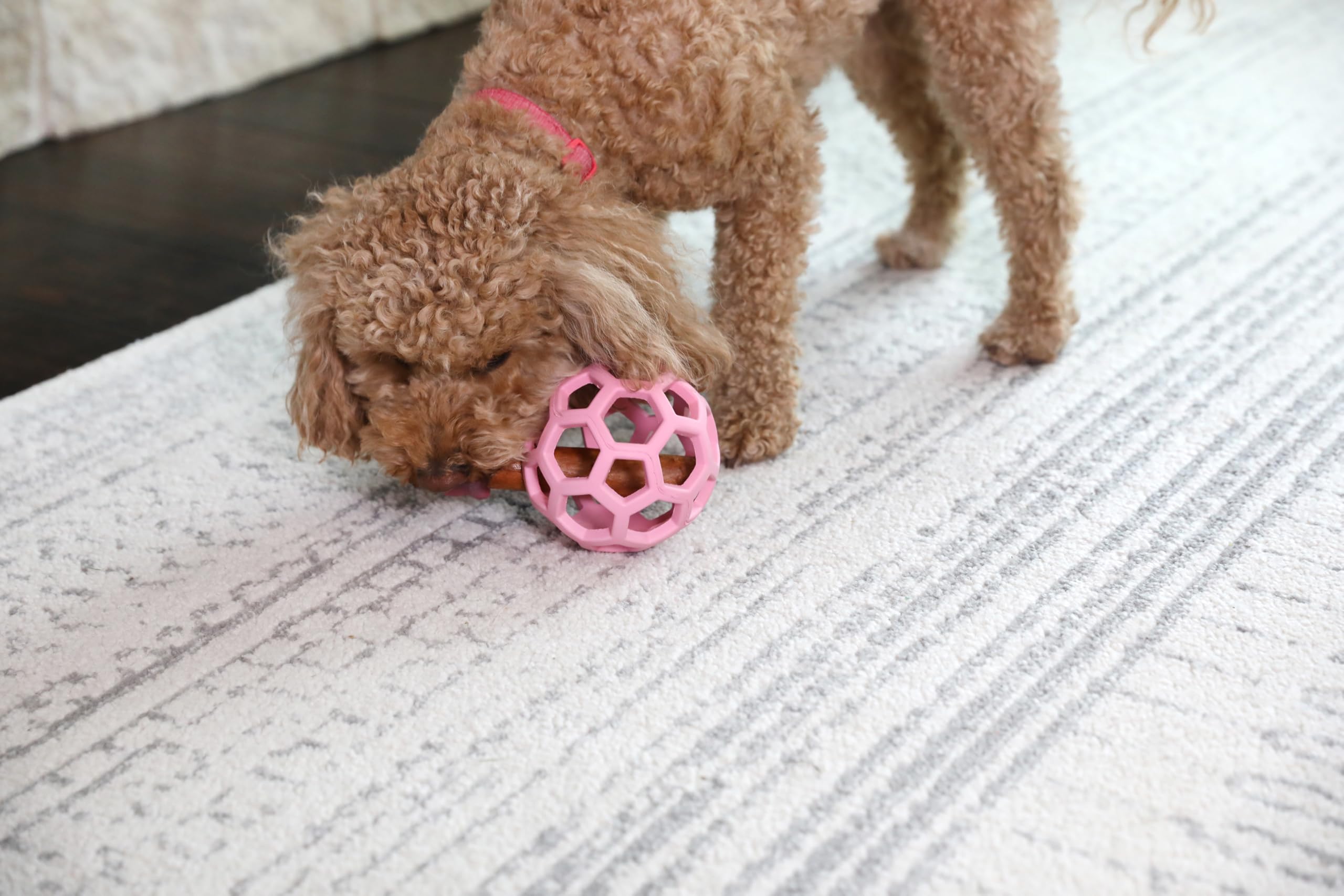 JW Pet HOL-ee Roller™, Dog Toy Puzzle Ball, Natural Rubber, Small (3 Inch Diameter), Blue