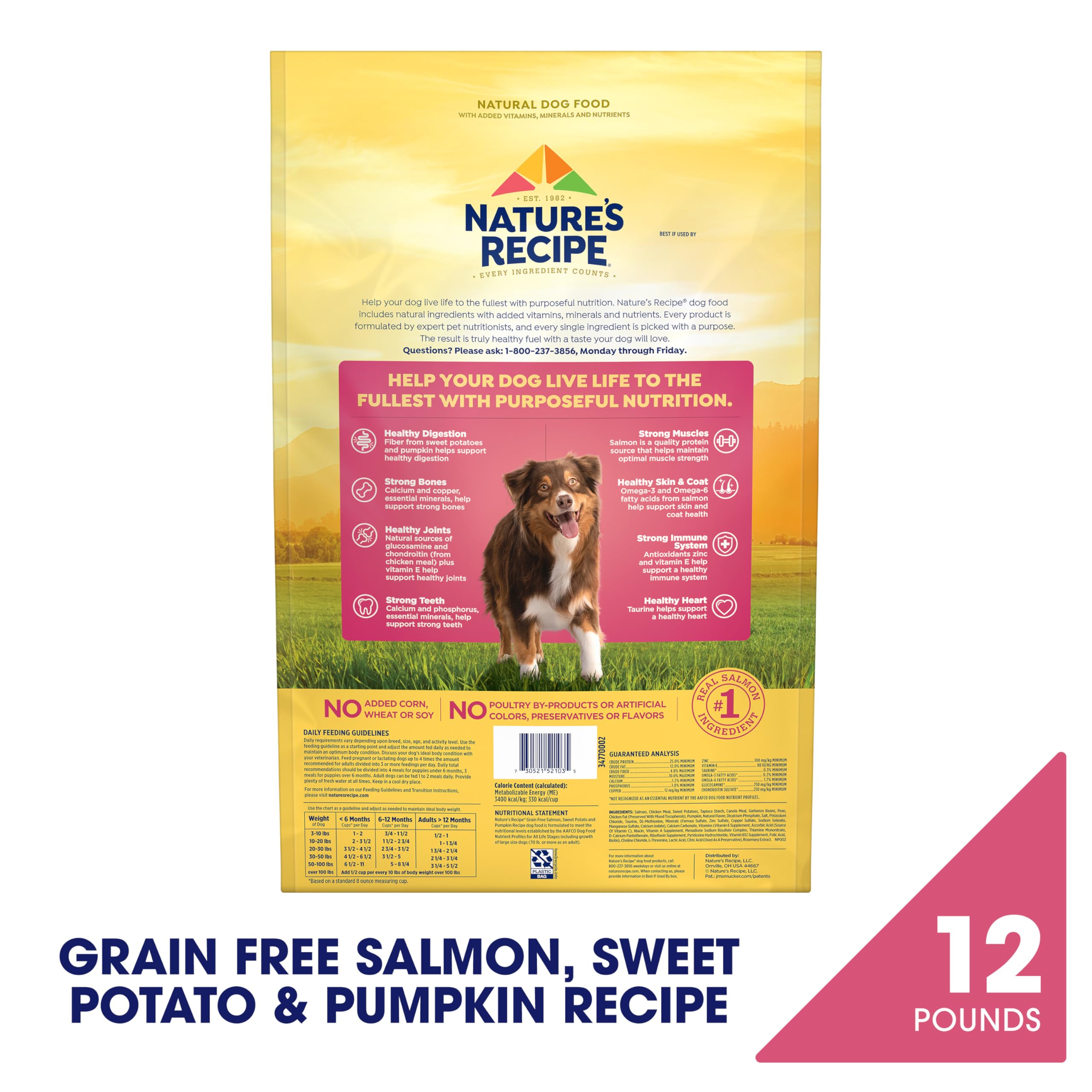 Nature's Recipe Grain Free Dry Dog Food, Salmon, Sweet Potato & Pumpkin Recipe, 4 lb. Bag