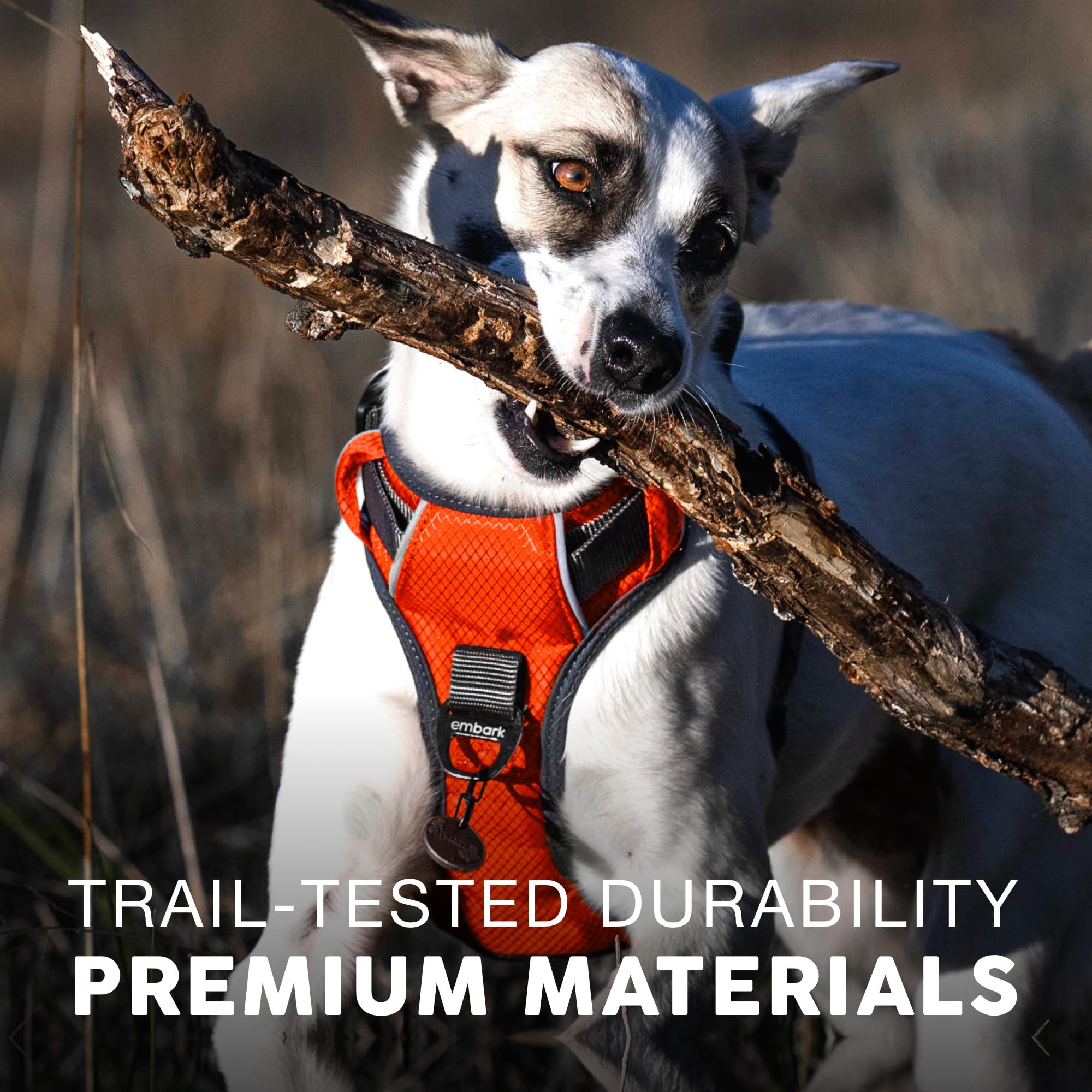 Embark Adventure Dog Harness for Small, Medium & Large Dogs – No Pull, Reflective Trim, Heavy Duty Oxford, 2 Leash Clips, Gel-Lined Handle, Soft Padded