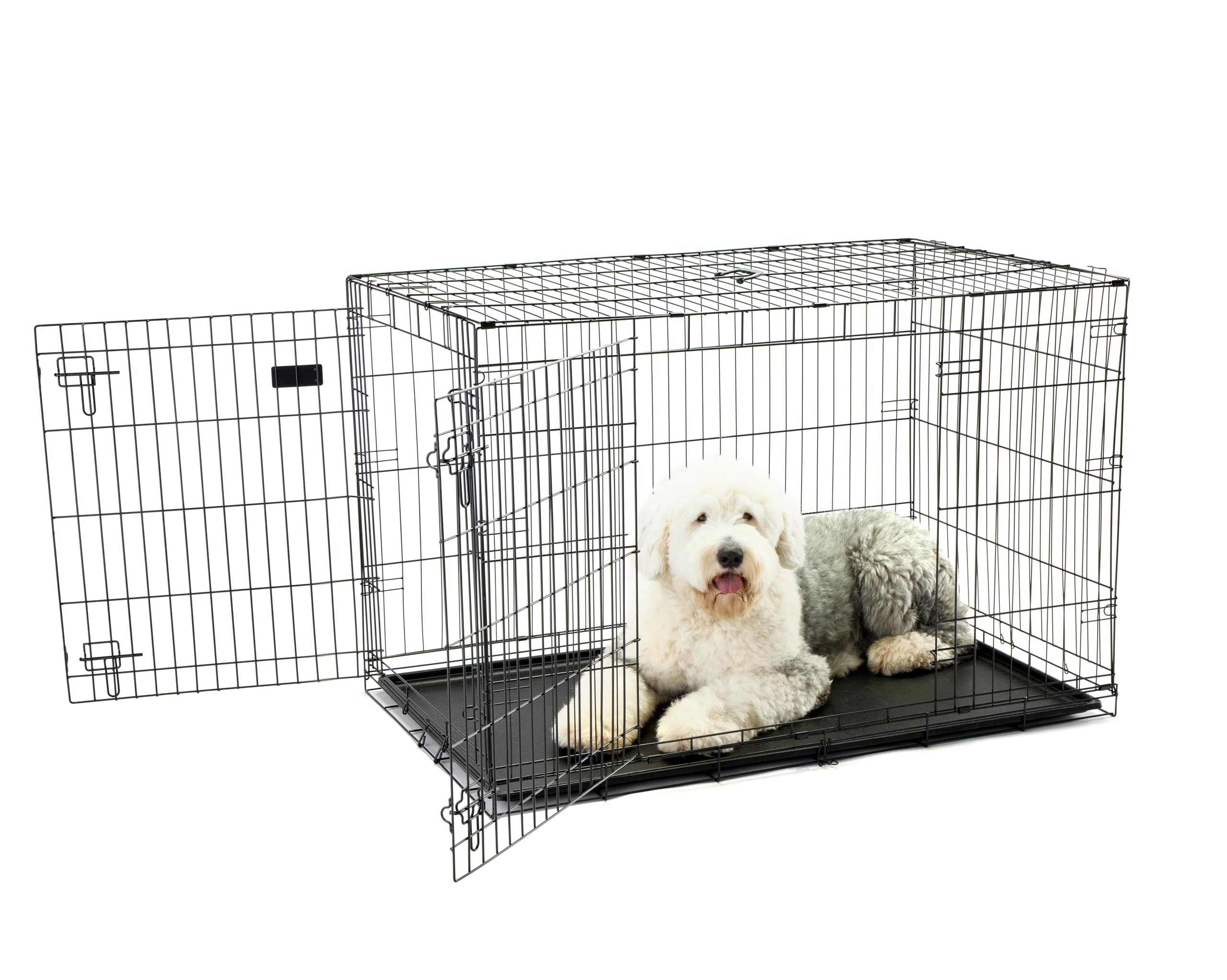 Carlson Secure and Compact Double Door Metal Dog Crate, Medium with Divider Panel