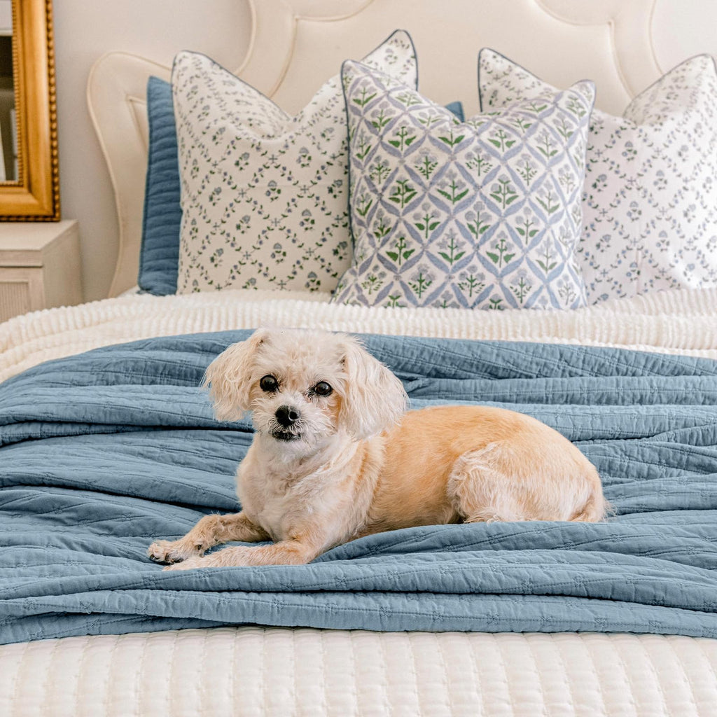 EVERGRACE Cotton Border Frame Tack-Stitch Quilt Bedding Set Queen Size, Coastal Oversized 3 Pieces Lightweight Bedspread Coverlet for All Season, with 2 Matching Shams, Blue Linen