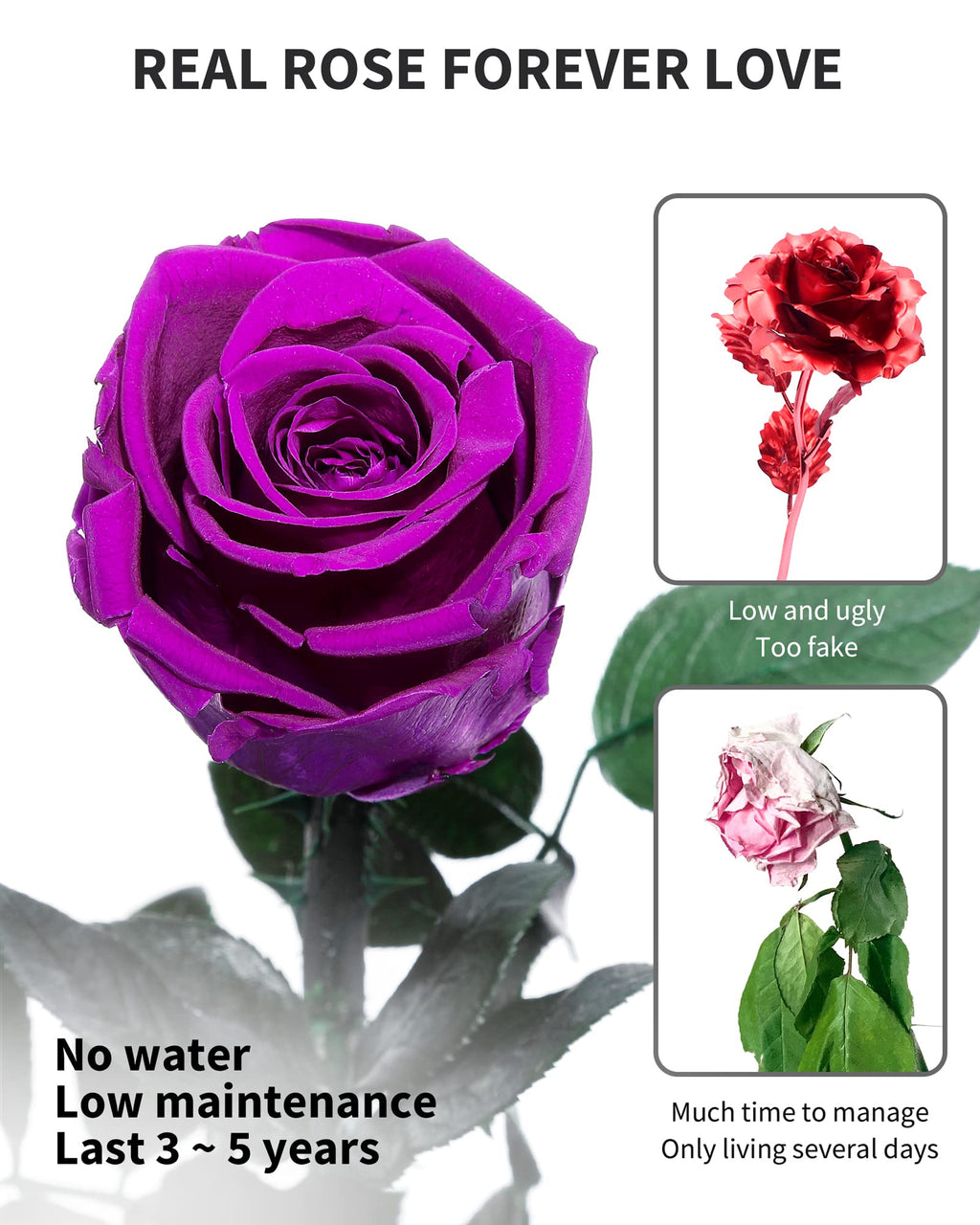 Flowers for Delivery Prime, Preserved Roses Flower Gifts for Women, Real Roses Single Rose Presents for Her, Mom Birthday Gifts from Daughter, Valentines Flowers Red Roses