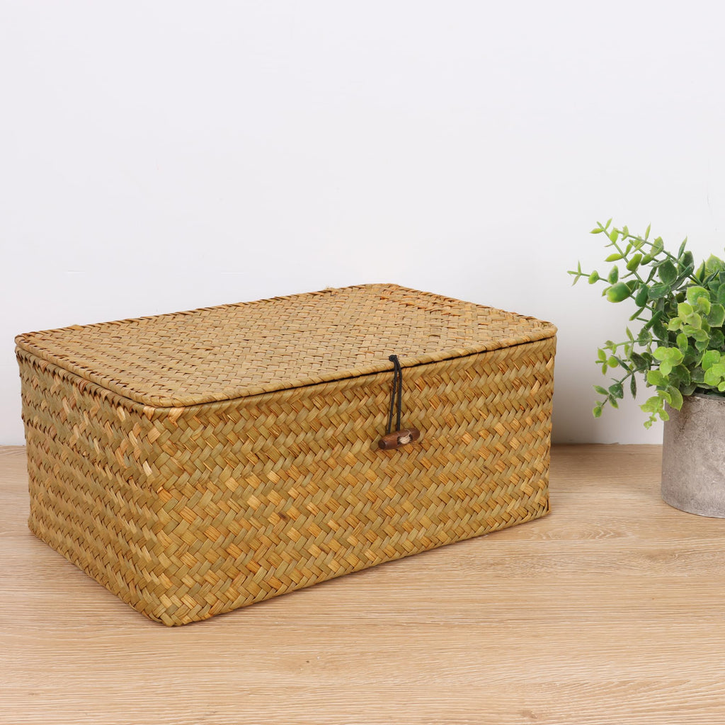 FEIALNDUO Wicker Shelf Baskets with Lid,Seagrass Storage Basket Bins Rectangular Handwoven Basket Boxes for Shelves Desktop Home Organizer (Coffee, X-Small)
