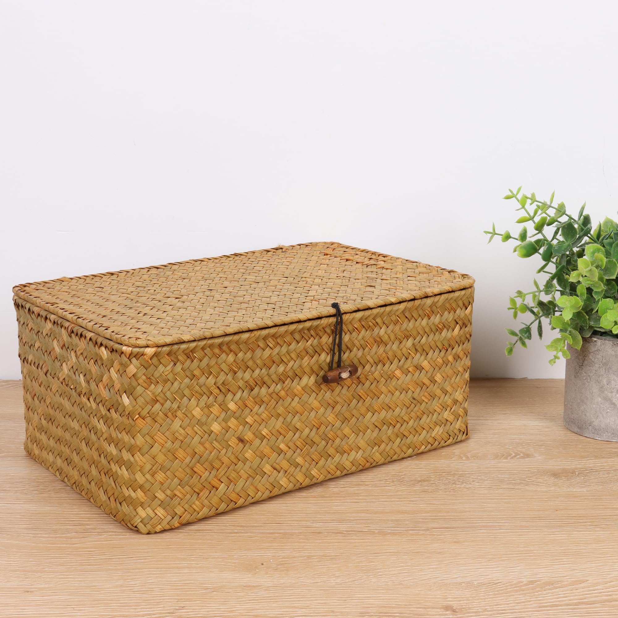FEIALNDUO Wicker Shelf Baskets with Lid,Seagrass Storage Basket Bins Rectangular Handwoven Basket Boxes for Shelves Desktop Home Organizer (Coffee, X-Small)