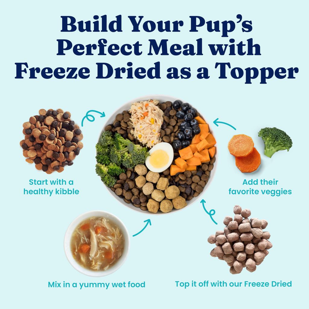 Solid Gold Toy & Small Breed Dry Dog Food Small Bites – Real Beef, Grain Free, Gluten Free, High Fiber Kibble with Probiotics for Gut Health & Digestion Support – Healthy Dog Food All Ages – 4LB