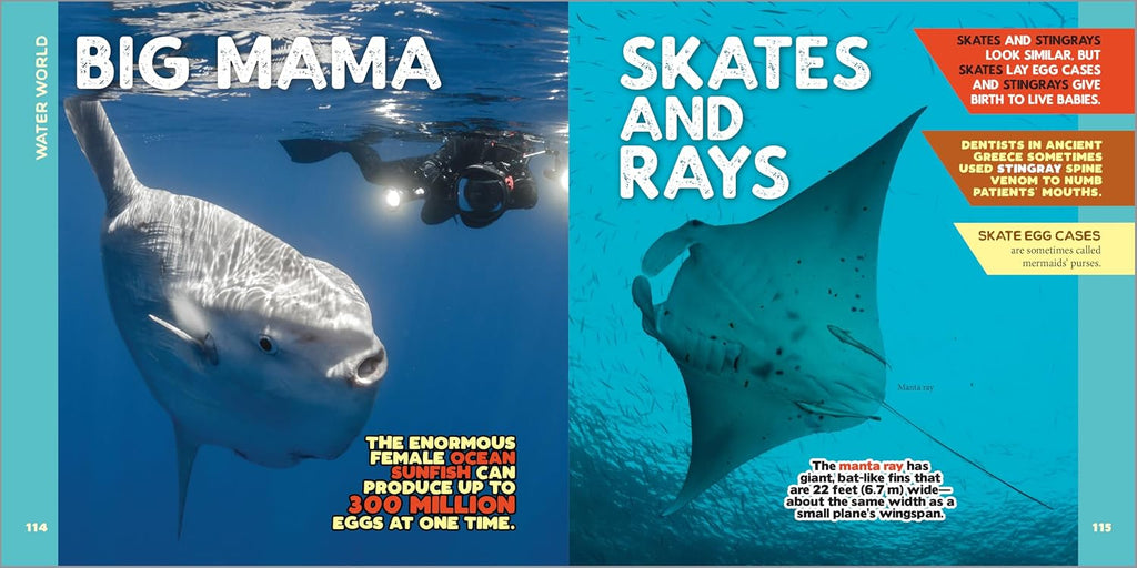 The Fascinating Animal Book for Kids: 500 Wild Facts! (Fascinating Facts)