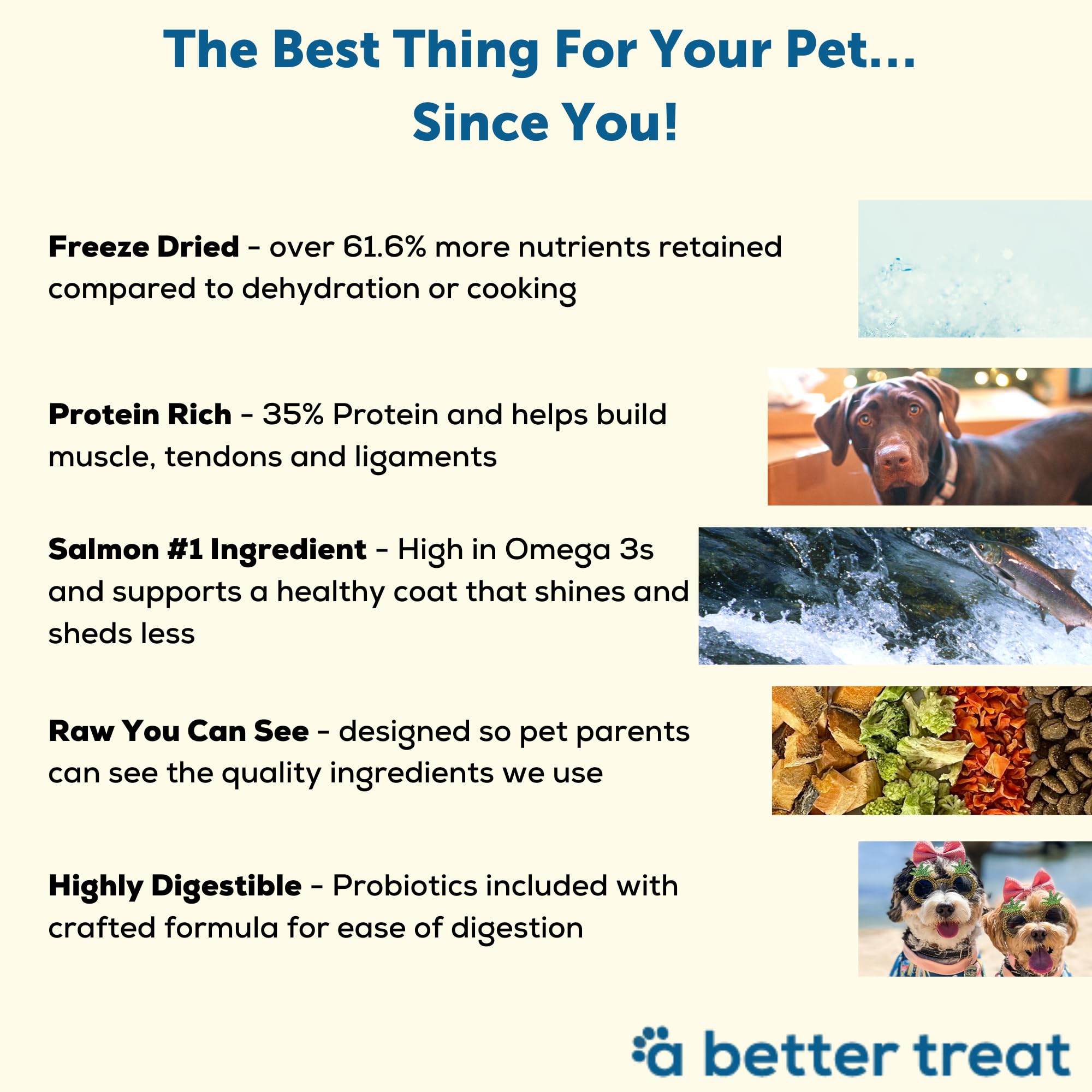 A Better Dog Food | Chicken Dry Dog Food | Raw You Can See | High Protein Kibble + Freeze Dried Raw Dog Food