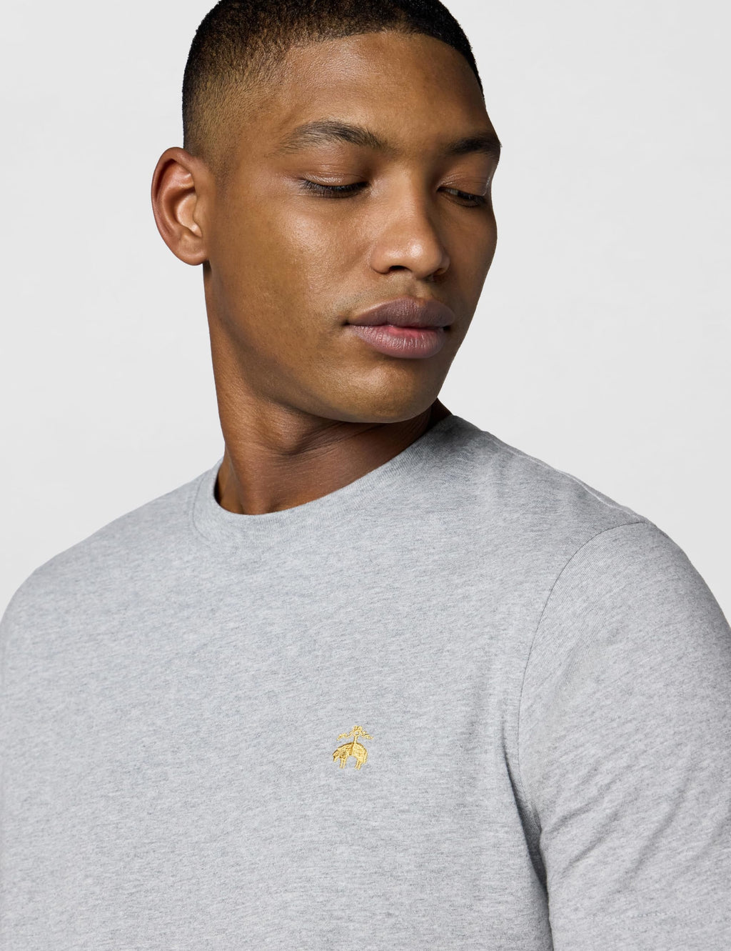 Brooks Brothers Men's Short Sleeve Cotton Crewneck Logo T-Shirt