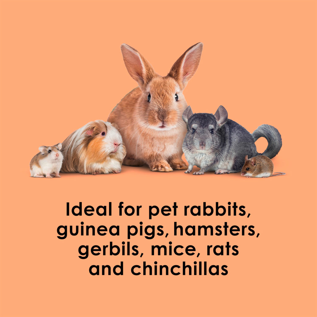 Kaytee Super C Bites Treat For Pet Guinea Pigs, Adult Rabbits, Chinchillas, and Other Small Animals, Cranberry and Orange, 4 oz