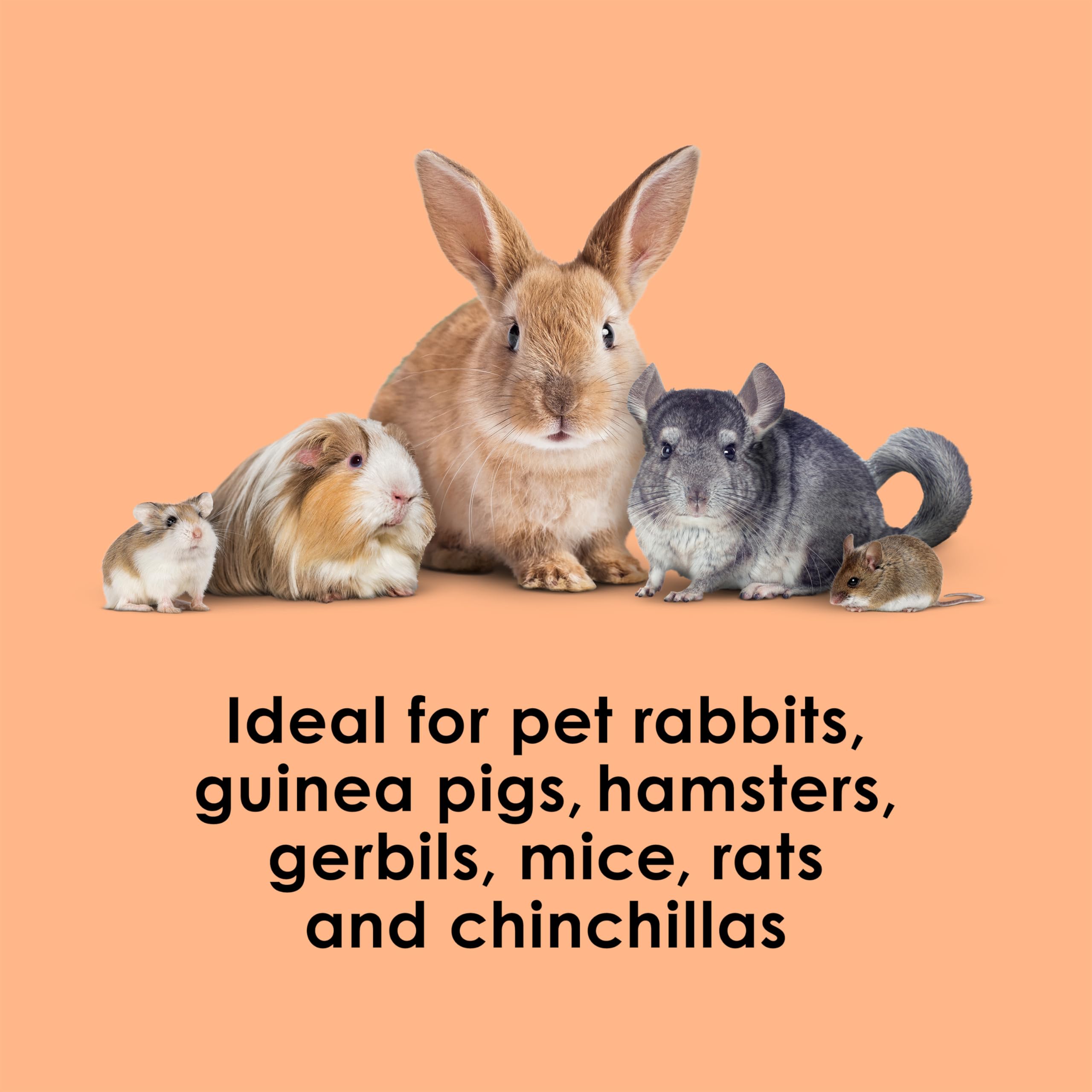 Kaytee Super C Bites Treat For Pet Guinea Pigs, Adult Rabbits, Chinchillas, and Other Small Animals, Cranberry and Orange, 4 oz