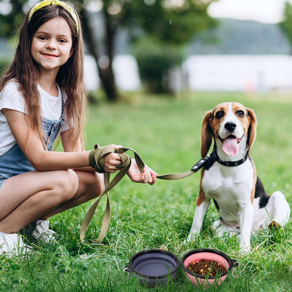 Dog Bowl Pet Collapsible Bowls, 2 Pack Collapsible Dog Water Bowls for Cats Dogs, Portable Pet Feeding Watering Dish for Walking Parking Traveling with 2 Carabiners (Small, Black & Pink)