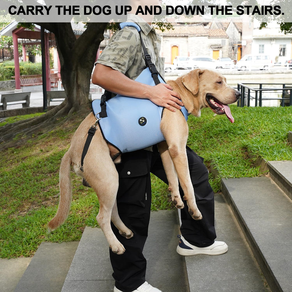 Coodeo Dog Lift Harness, Pet Support & Rehabilitation Sling Lift Adjustable Padded Breathable Straps for Old, Disabled, Joint Injuries, Arthritis, Loss of Stability Dogs Walk (Black, XS)