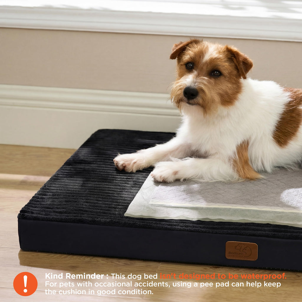 Bedsure ComfyFleece Dog Bed for Small Dogs - Orthopedic Pet Beds with Removable Washable Cover, NOT Waterproof Egg Crate Foam Puppy Mat, Suitable for Pet Up to 20 lbs, 23"x17"x2.8", NOT for Chewers
