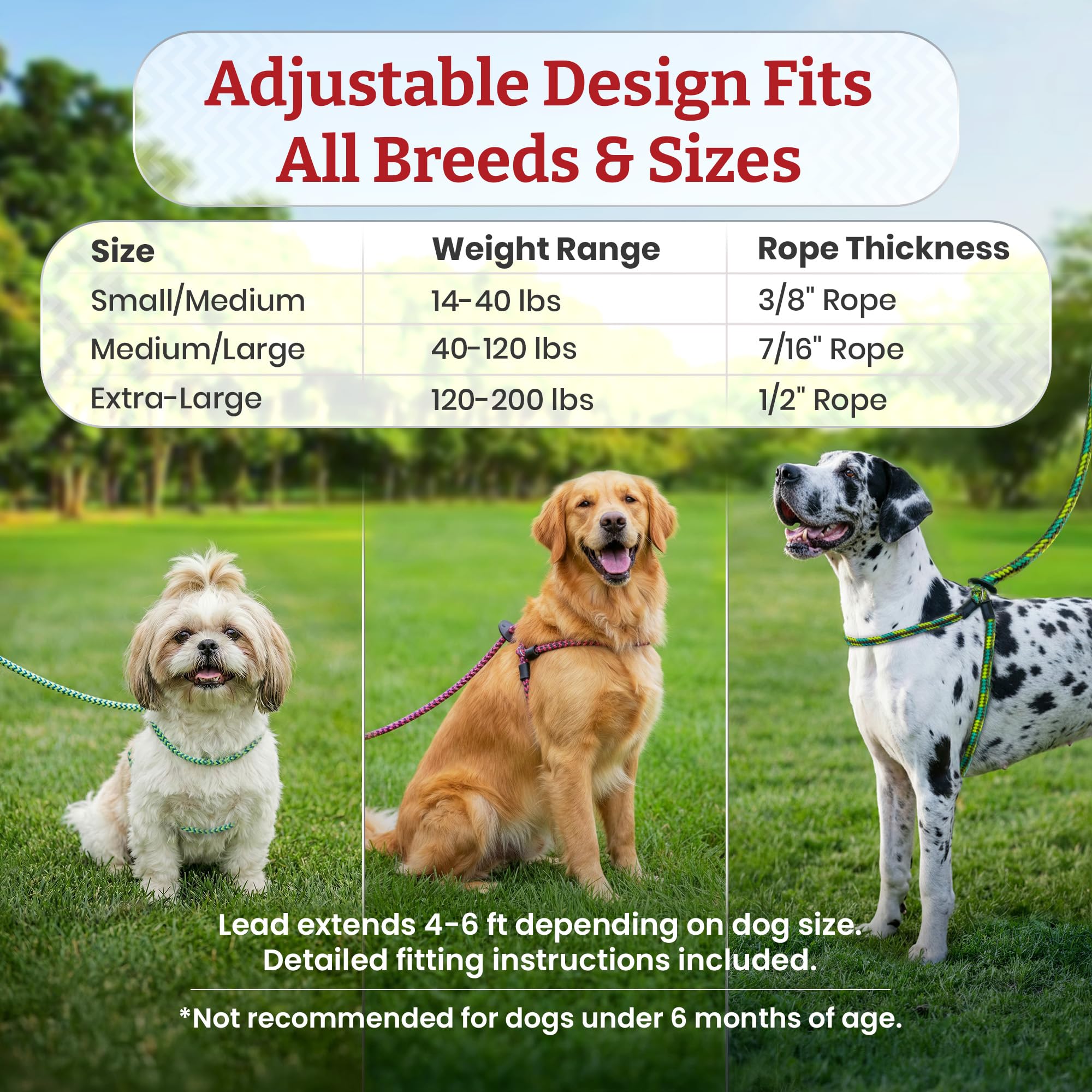 Harness Lead Escape Resistant, Reduces Pull Dog Harness, Medium/Large, Black