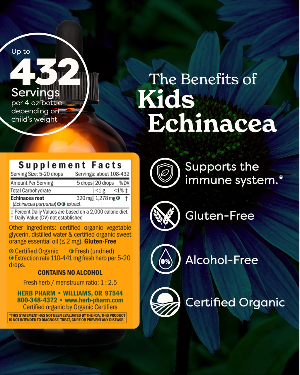 Herb Pharm Kids Echinacea Extract Alcohol-Free Certified Organic Liquid Herbal Supplement for Kids, Immune Support Drops for Toddlers & Children, Non-GMO, Vegan, Echinacea Purpurea Root, 1 fl oz
