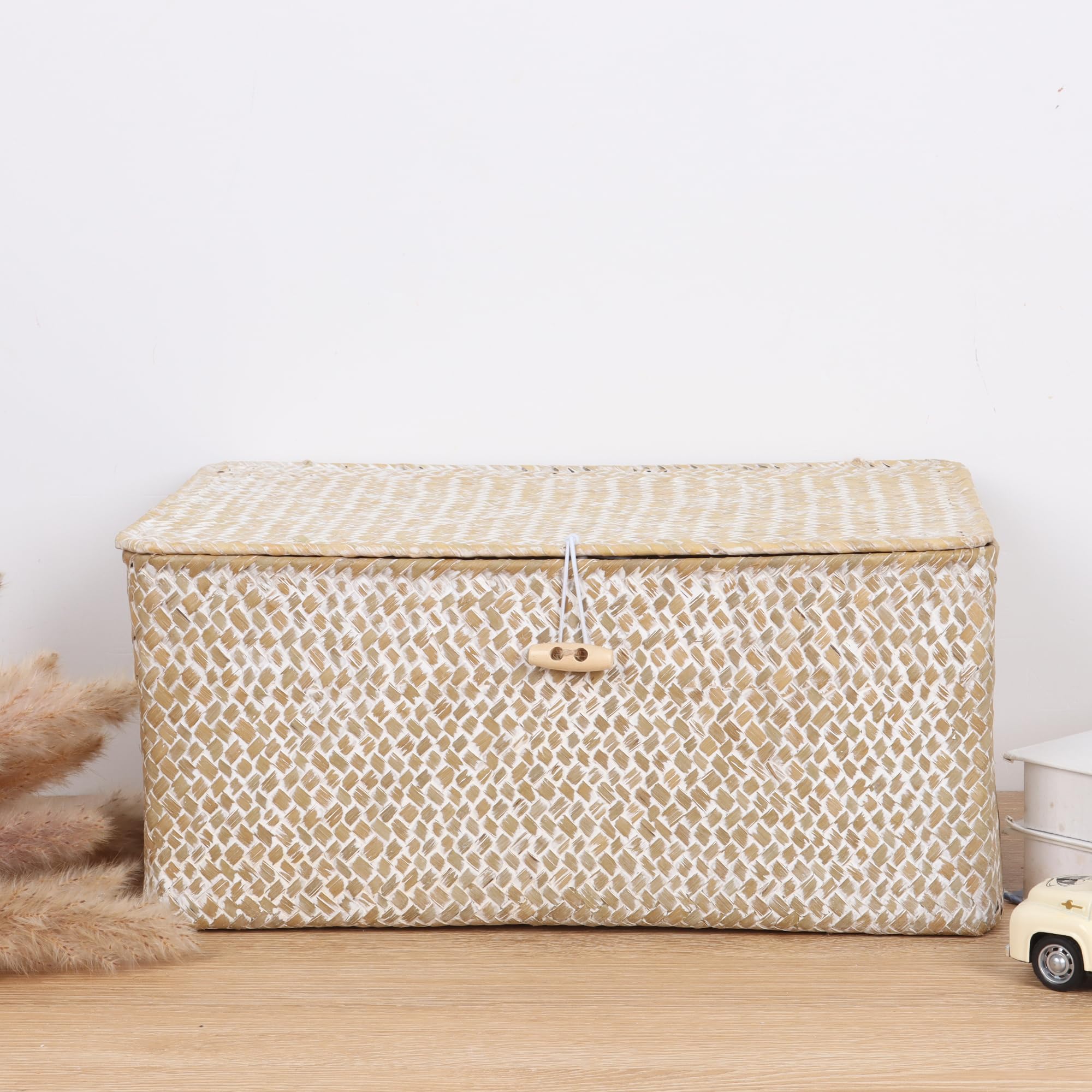 FEIALNDUO Wicker Shelf Baskets with Lid,Seagrass Storage Basket Bins Rectangular Handwoven Basket Boxes for Shelves Desktop Home Organizer (Coffee, X-Small)