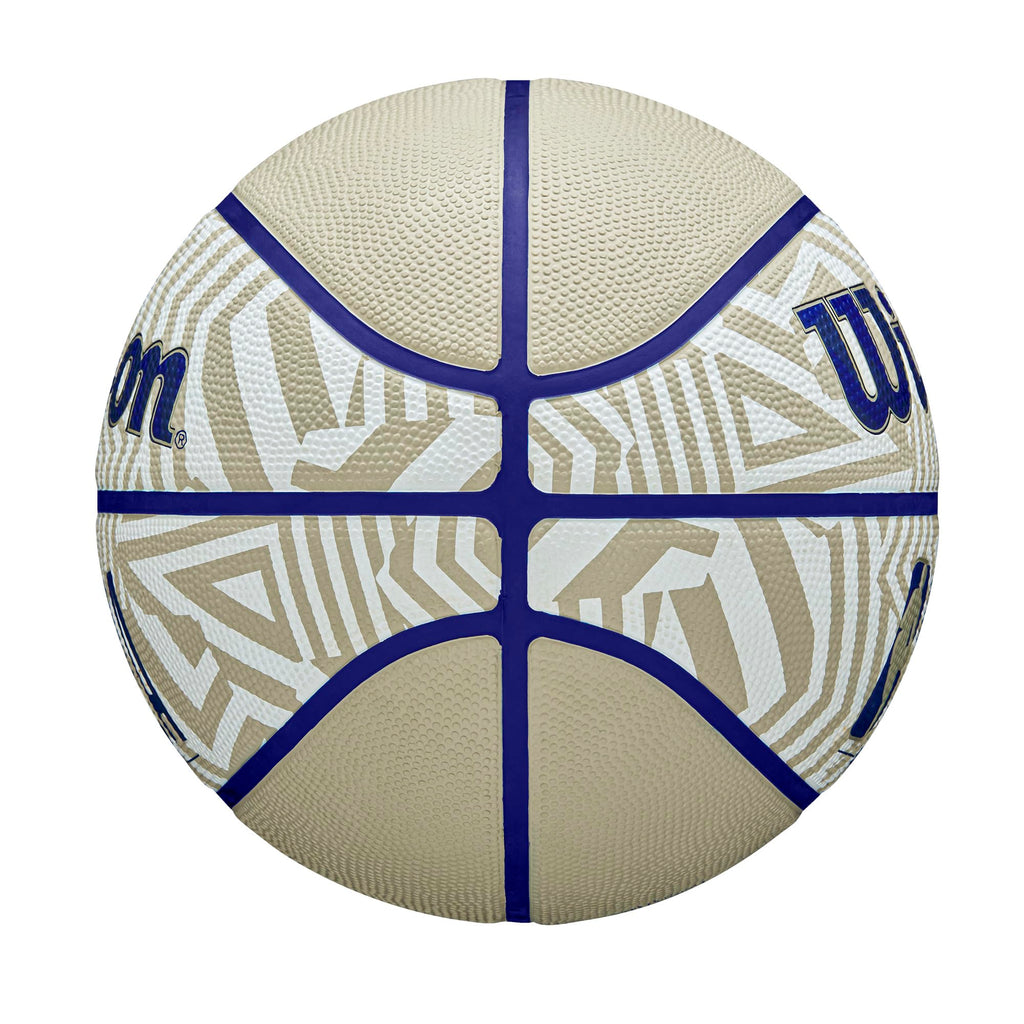 WILSON NBA DRV Outdoor Basketball - Indigo/Beige, Size 5-27.5"