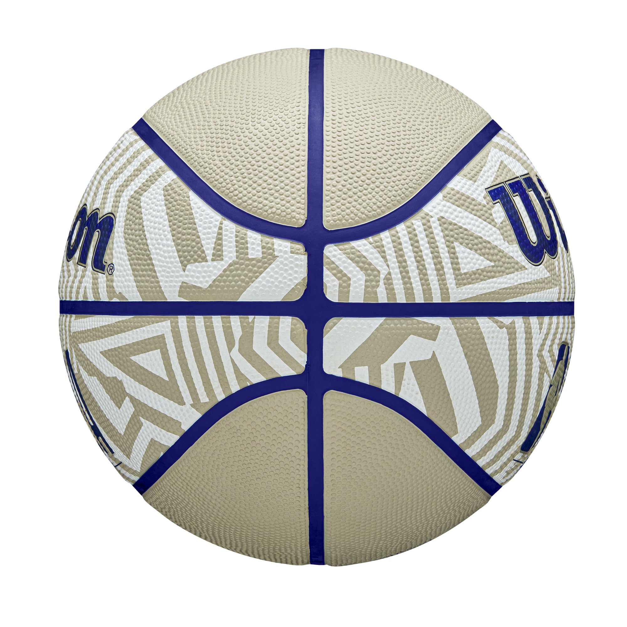 WILSON NBA DRV Outdoor Basketball - Indigo/Beige, Size 5-27.5"
