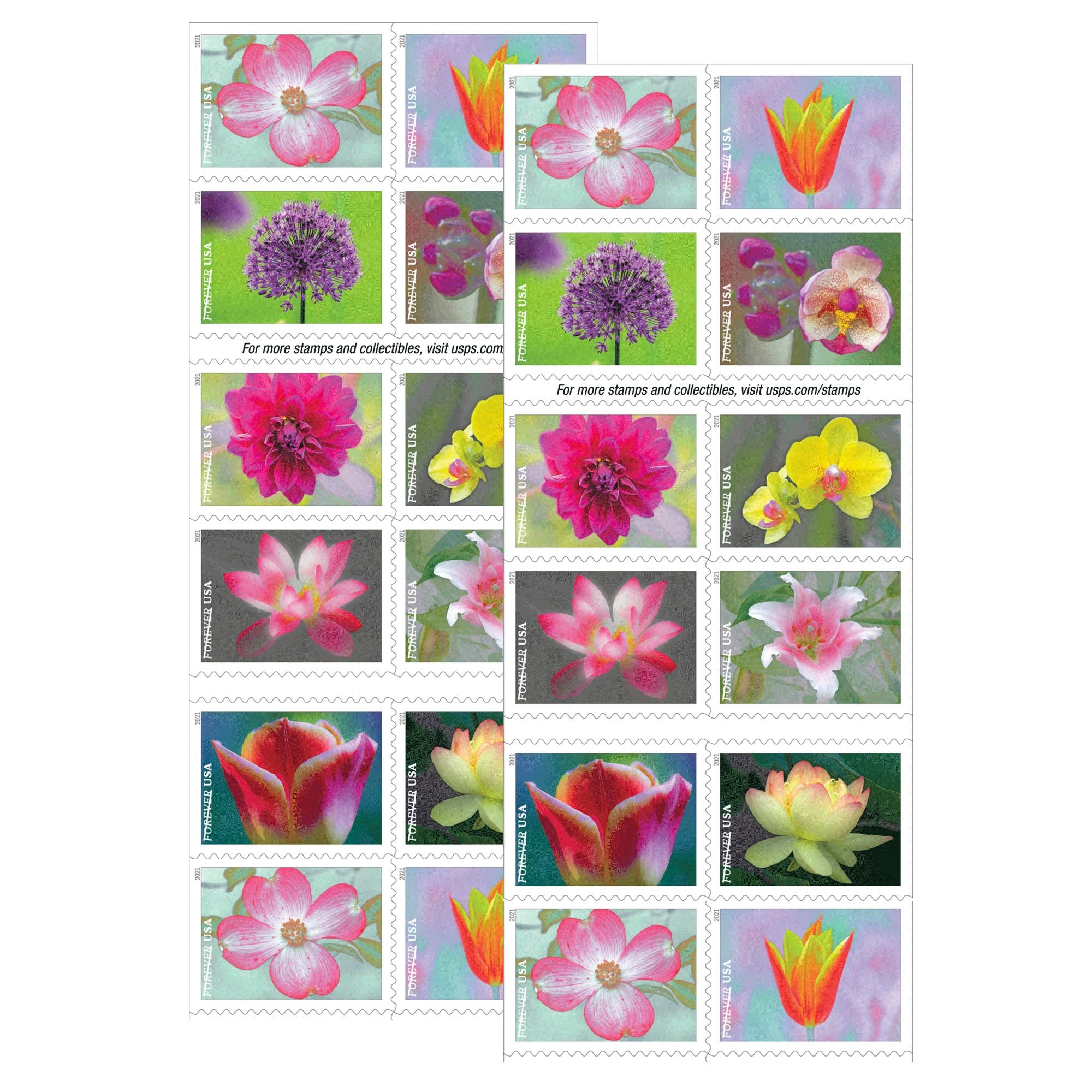 USPS Garden Beauty Forever Postage Stamps Book of 20 self-stick First Class Wedding Celebration Anniversary Flower Party (20 Stamps)