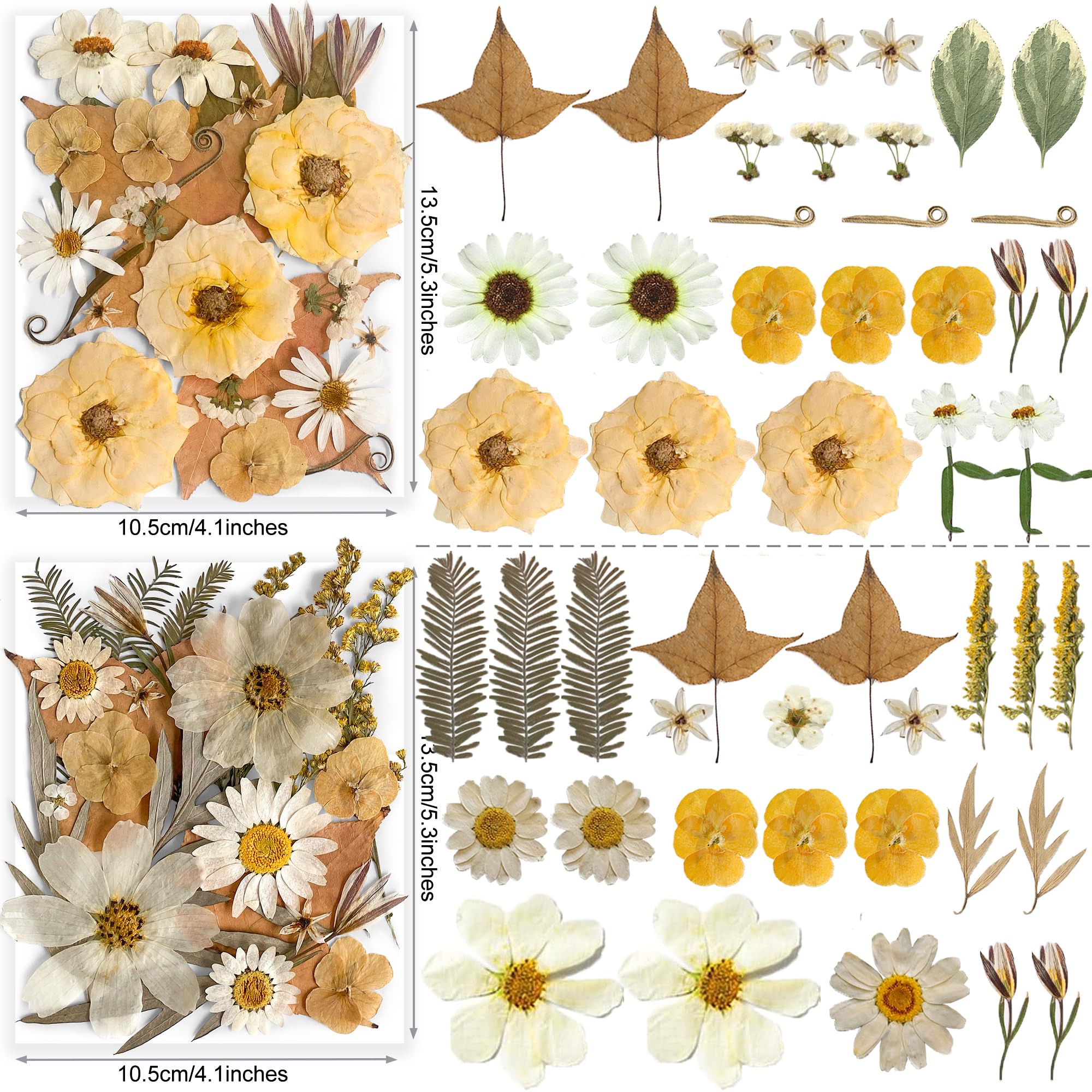 96PCS Vintage White Dried Pressed Flowers for Resin Craft - YouthBro Real Nature Flowers Set with 50 PCS Butterfly Stickers for DIY Scrapbook Art Floral Decors