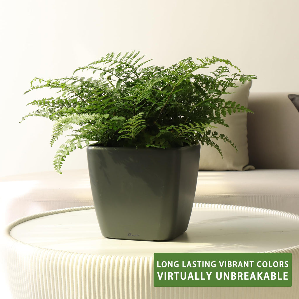 Dexceder 9x8 Self Watering Planter (Black High Gloss) | Inner Mat Design, Thickened Table Flower Plant Pot with Water Level Indicator Indoor Outdoor