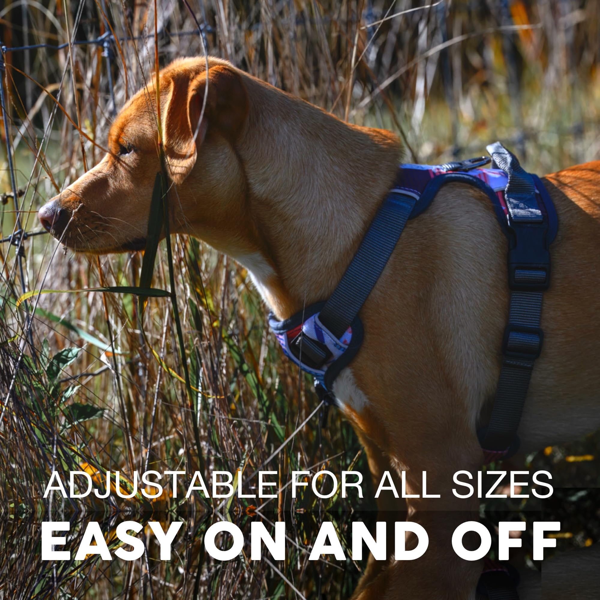 Embark Adventure Dog Harness for Small, Medium & Large Dogs – No Pull, Reflective Trim, Heavy Duty Oxford, 2 Leash Clips, Gel-Lined Handle, Soft Padded
