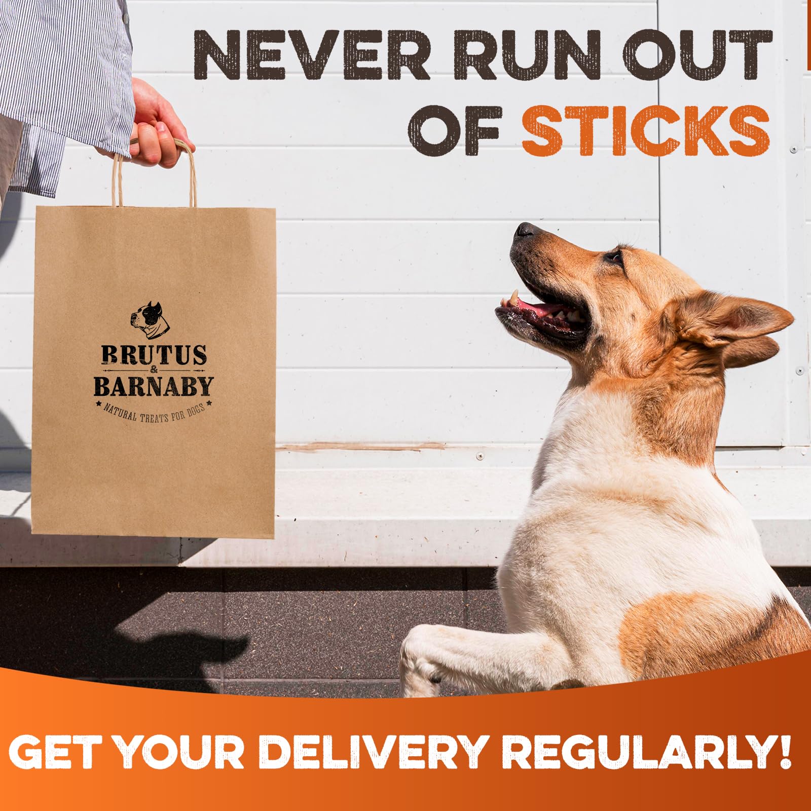 BRUTUS & BARNABY 6 Inch Bully Sticks for Dogs (10 Count) – Natural Grass-Fed Beef Chews, Odor Free, Single Ingredient, Fully Digestible, Rawhide Free for Small, Medium & Large Dogs