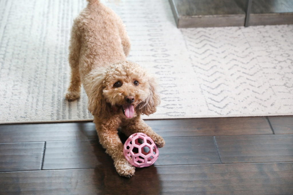 JW Pet HOL-ee Roller™, Dog Toy Puzzle Ball, Natural Rubber, Small (3 Inch Diameter), Blue