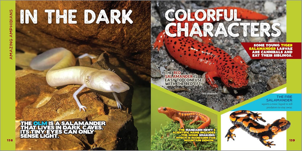 The Fascinating Animal Book for Kids: 500 Wild Facts! (Fascinating Facts)